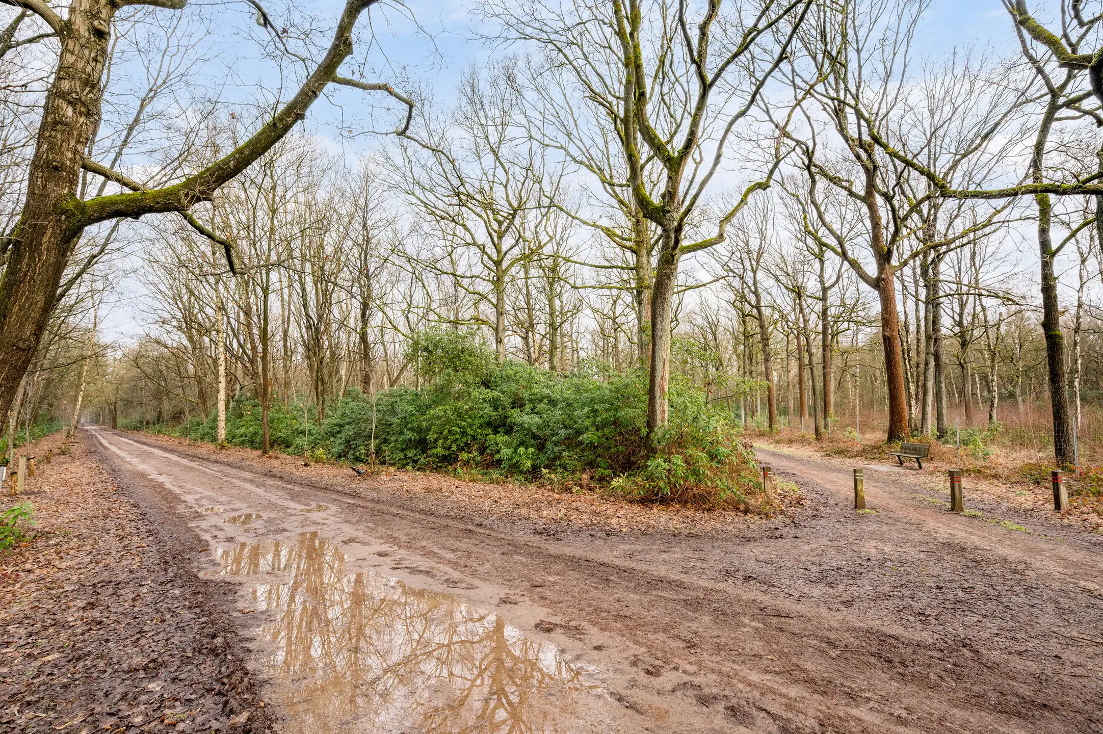 Perceel bosgrond te Gooreind! foto 6