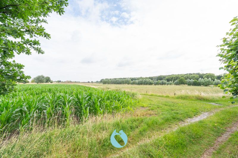 Ontdek deze woning gelegen op een royaal perceel van 646 m² foto 19