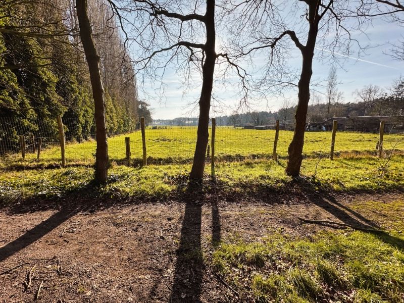 TE KOOP – Uniek stuk bouwgrond in de bossen van Lembeke – >15.000 m² foto 9