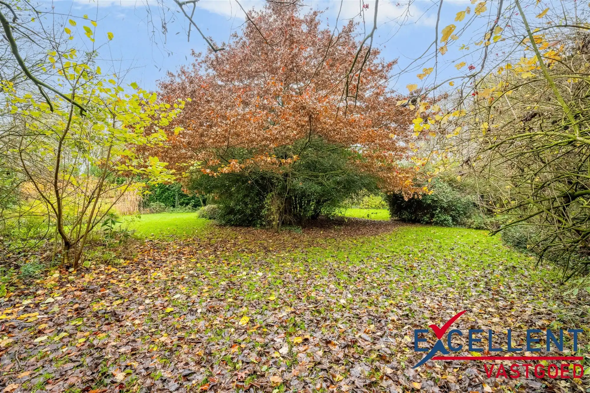 Authentieke Landelijke Hoeve met groot groendomein foto 14