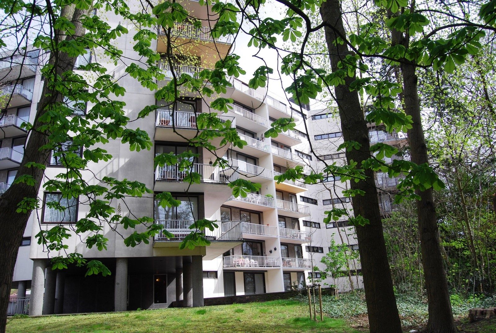 RUIM & RUSTIG GELEGEN APPARTEMENT MET GROEN ZICHT foto {{pictureIndex}}