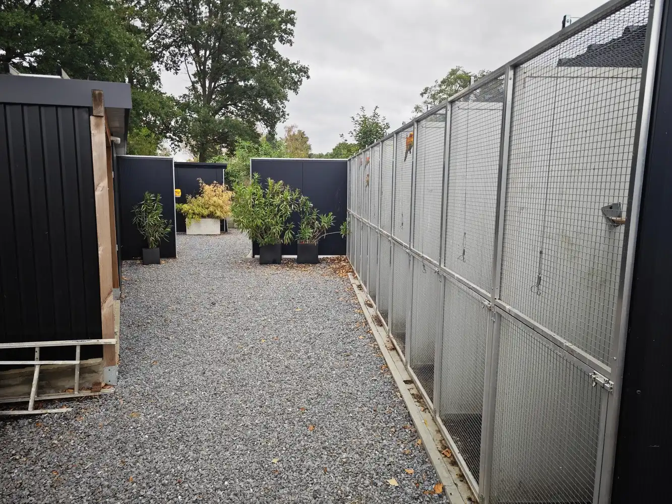 Grotendeels gerenoveerde woning op 16a78ca foto 49
