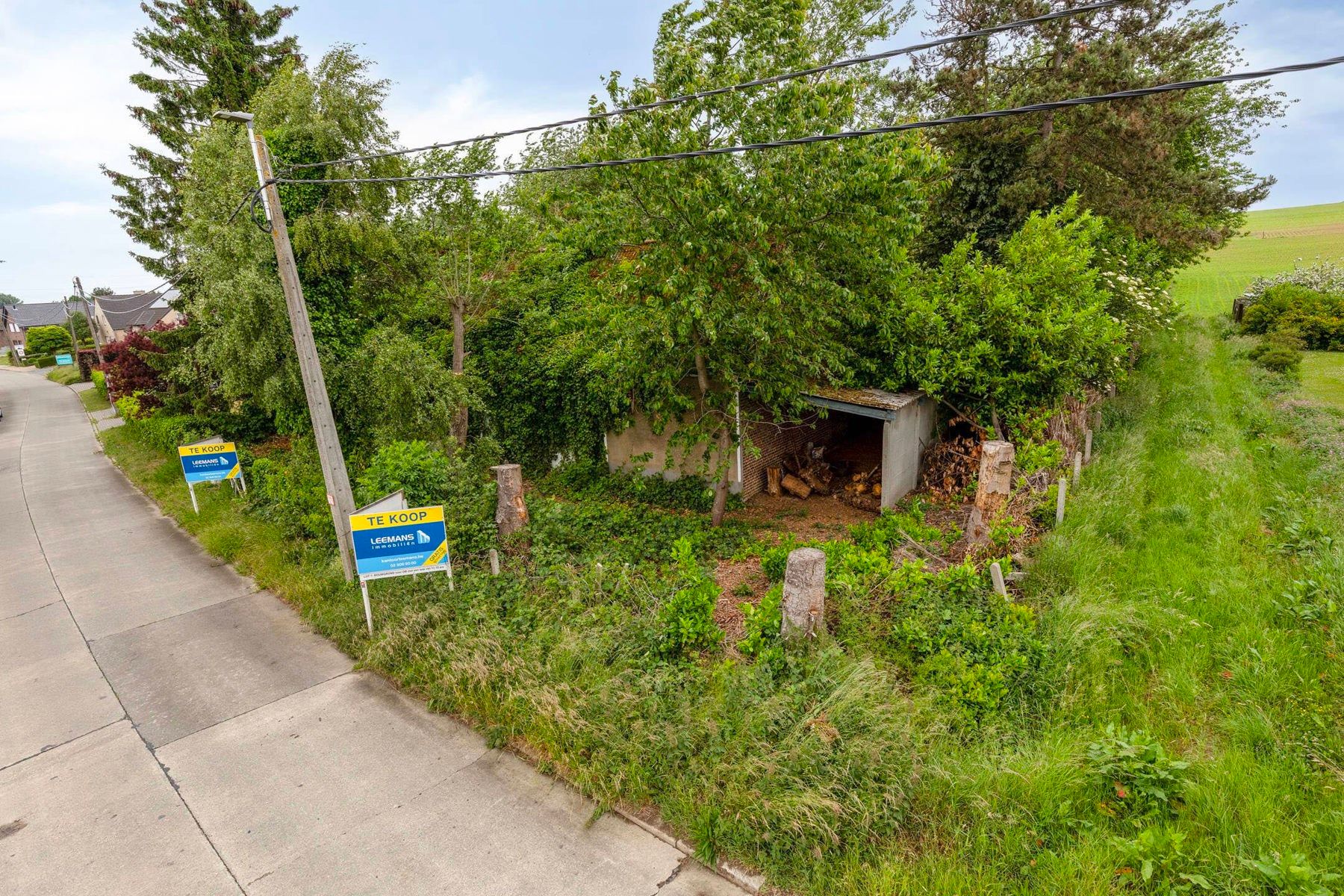 PROJECTGROND/BOUWGROND TE KOOP REGIO ASSE (Bekkerzeel) foto 4