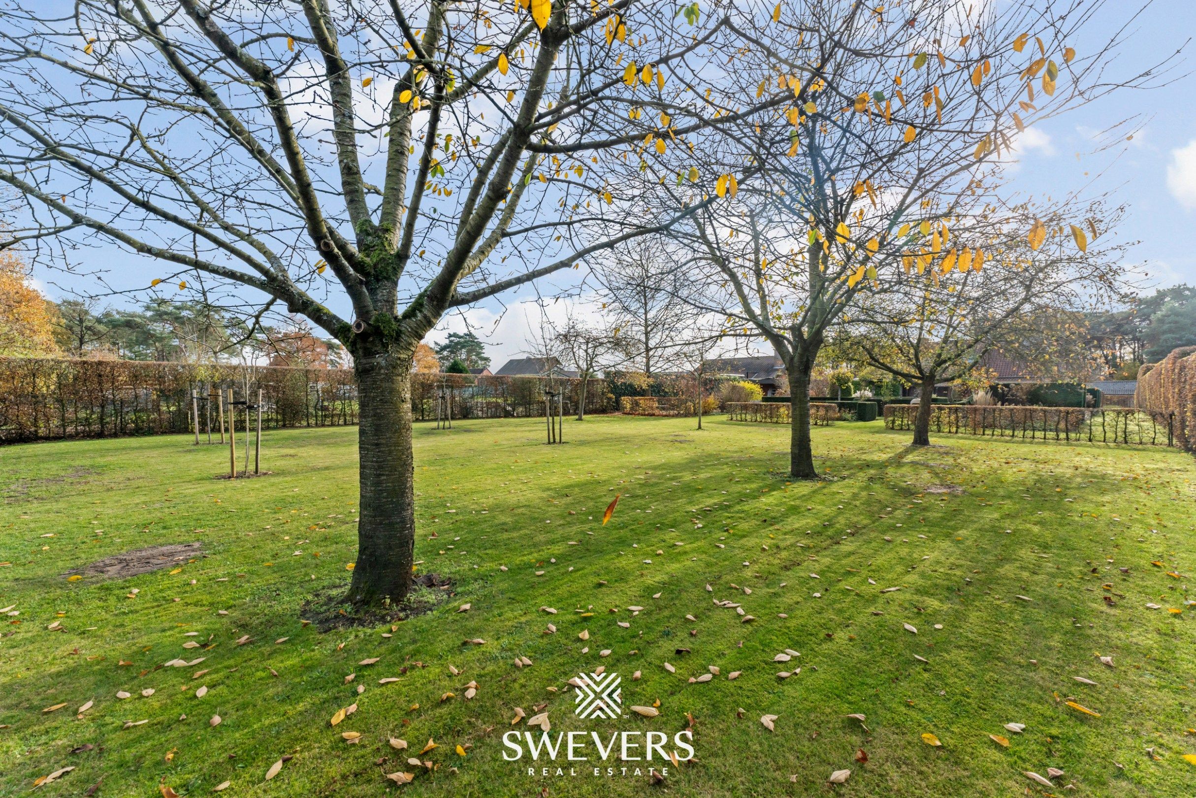 Energiezuinig wonen op een riant perceel van 21a 5ca in Hechtel-Eksel foto 28