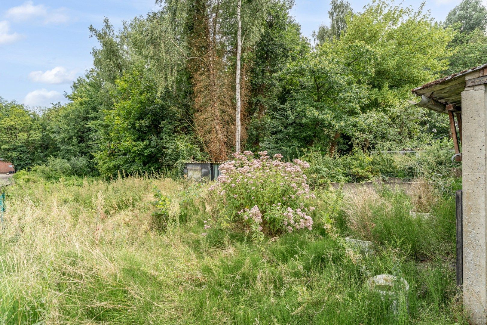 Halfvrijstaande gezinswoning op een ruim perceel van 13a80ca op wandelafstand van het centrum van Opoeteren! foto 36