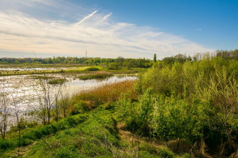 Uw droomlocatie aan de Gentbrugse Meersen! foto 3