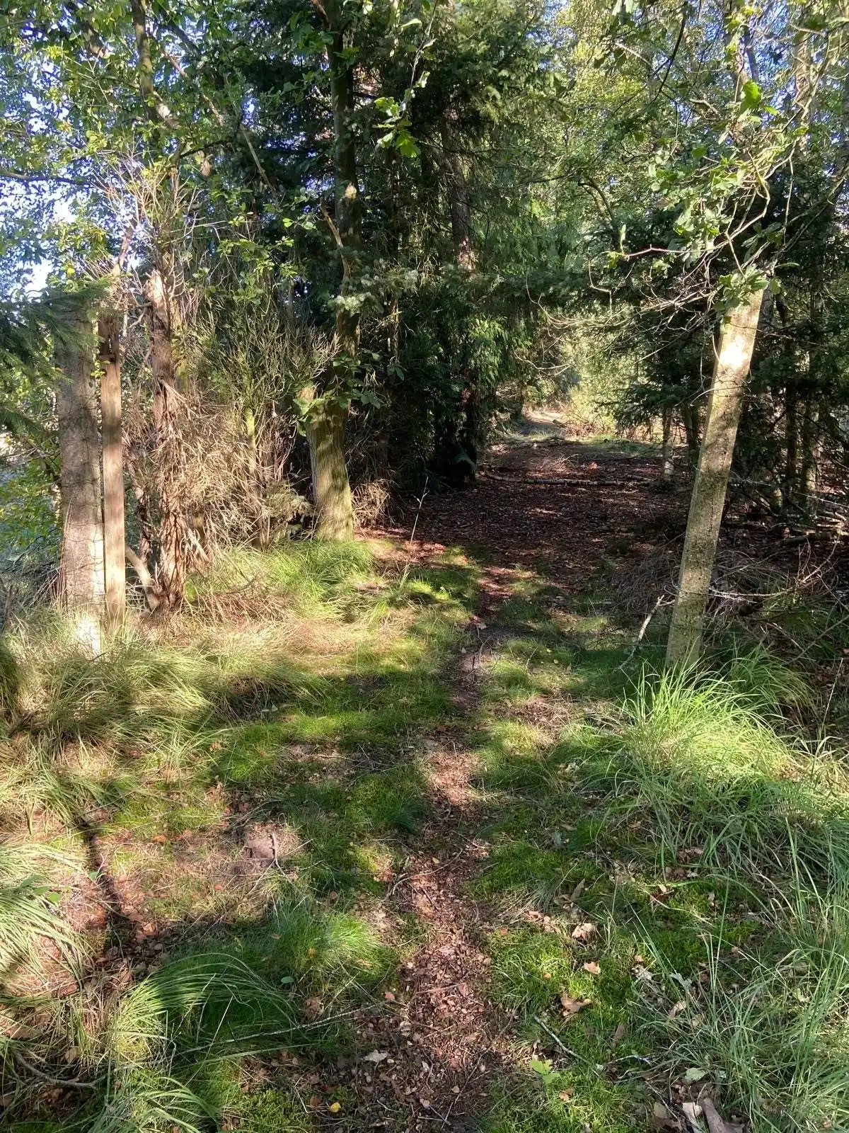 Vijver met grond op een perceel van 5073 m². foto 2