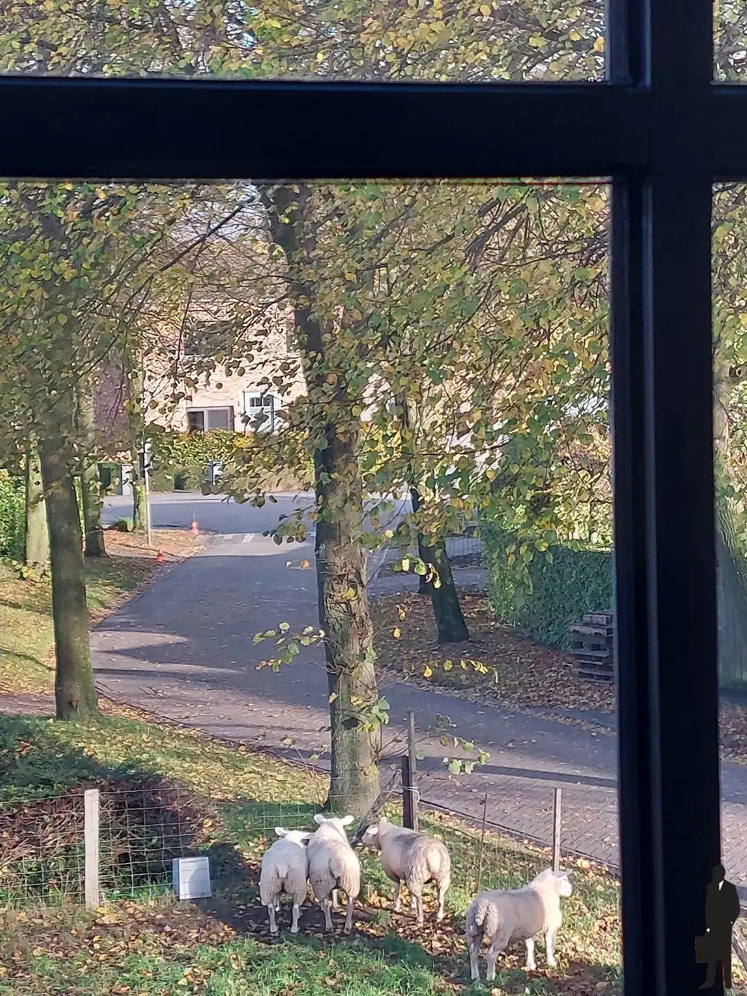 Zeer recente (nieuwbouw 2 jaar oud) energiezuinige halfopen bebouwing met 3 slaapkamers, nieuwste technieken zoals warmtepomp, zonnepanelen, … en open zicht op veel groen van de omliggende landerijen. foto 19