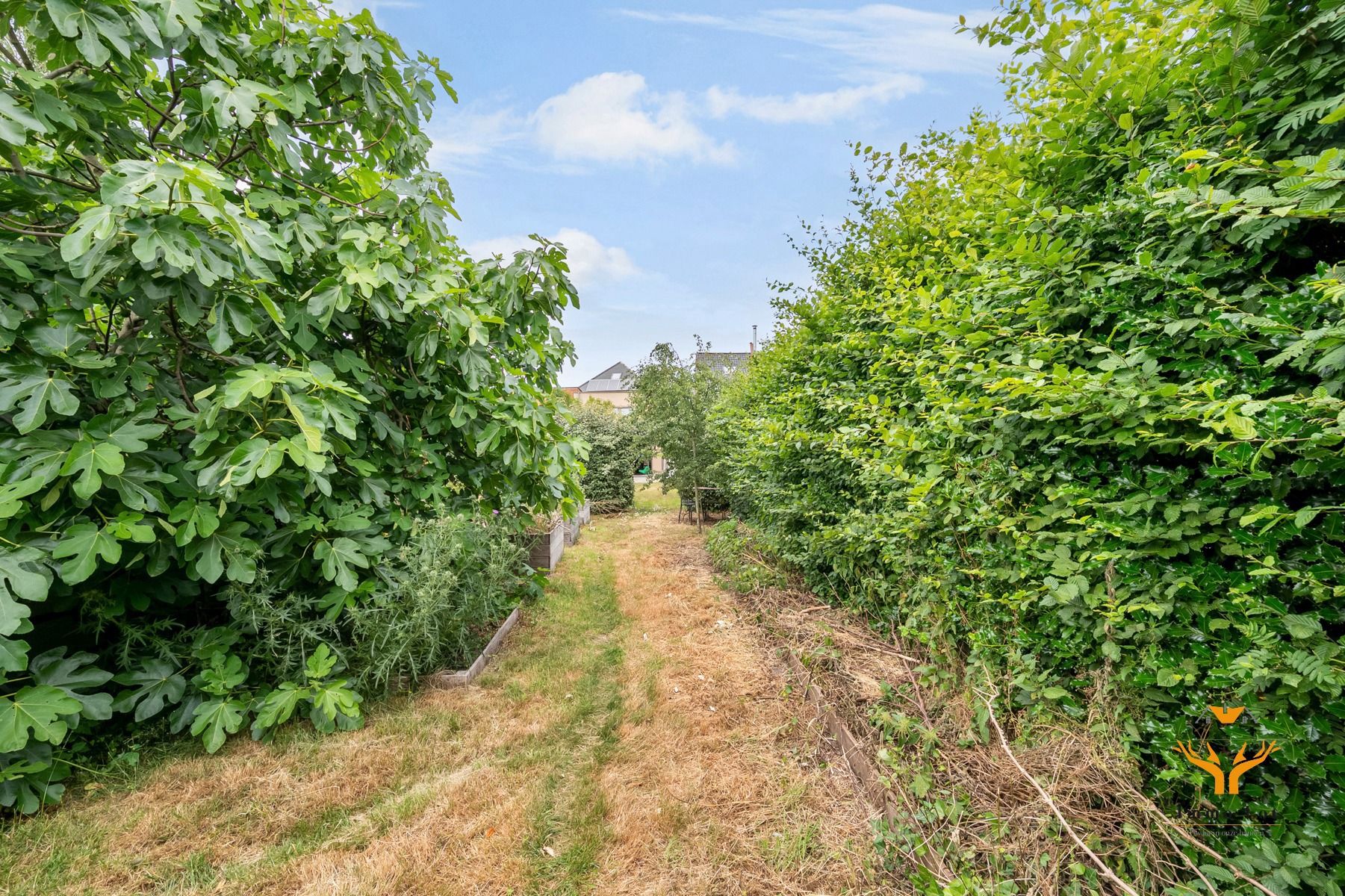 Instapklare gezinswoning met tuin in Schellebelle foto 24