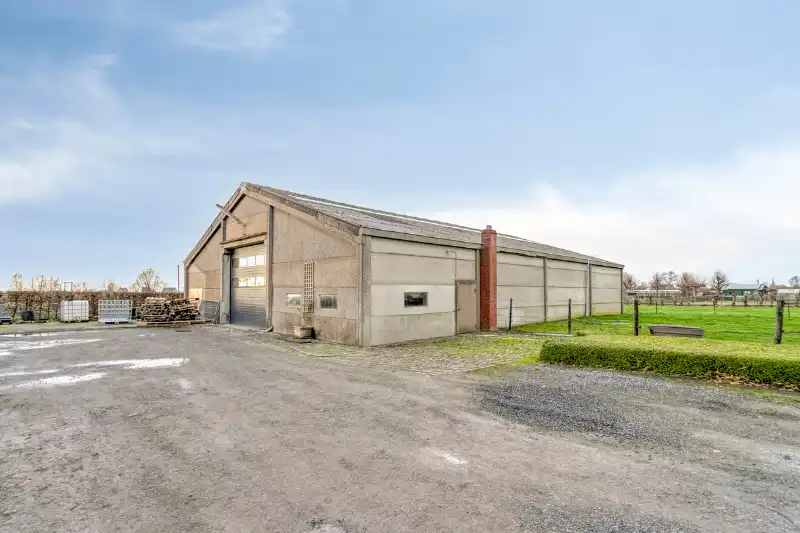 Exclusieve eigendom op ca. 4,4 hectare met professionele paardeninfrastructuur foto 6