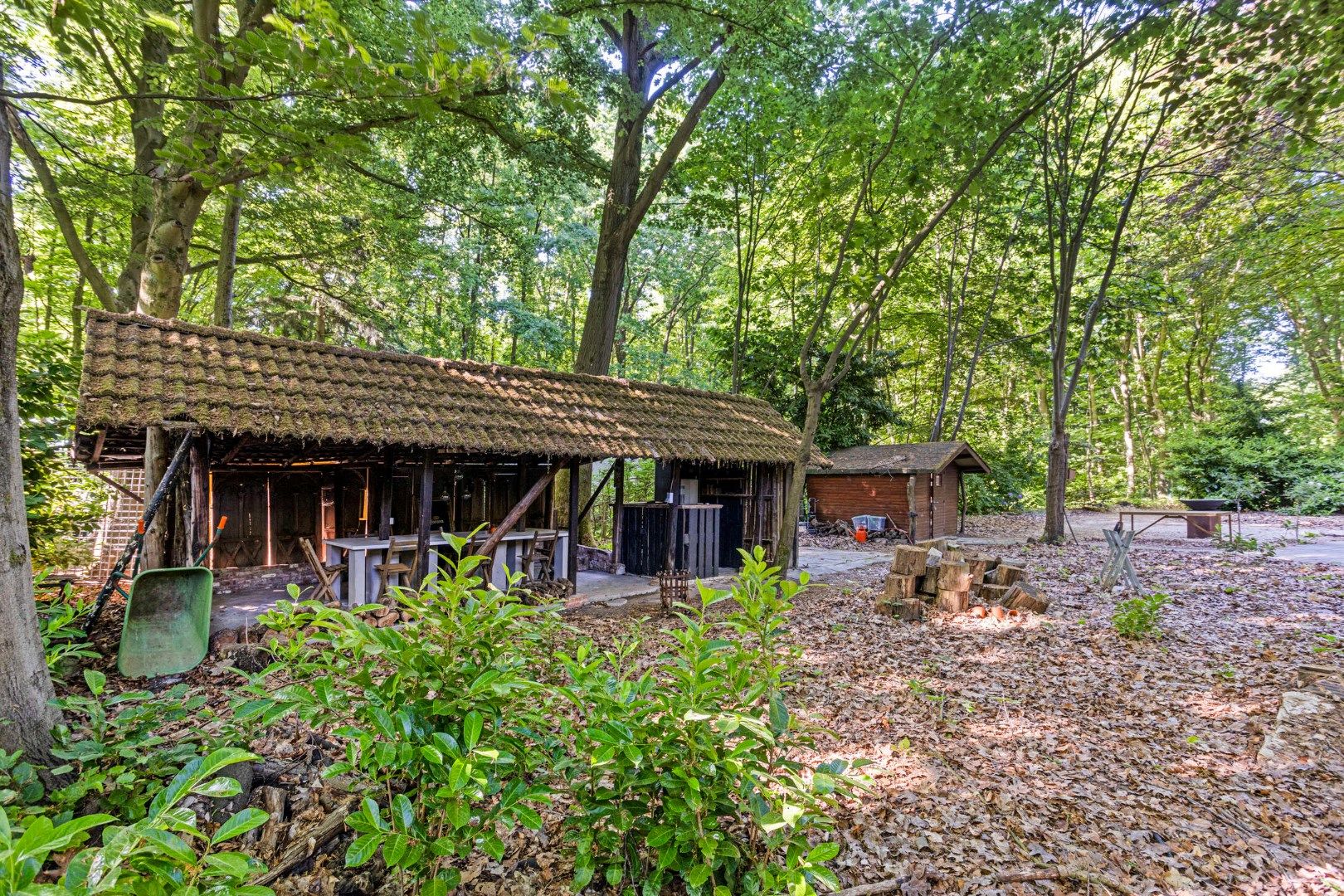 Prachtige vakantiewoning / 2de verblijf in het rustige Verbrandenbos te Kessel-Lo – perceel van 2004 m² – ideale ligging voor natuurliefhebbers foto 5