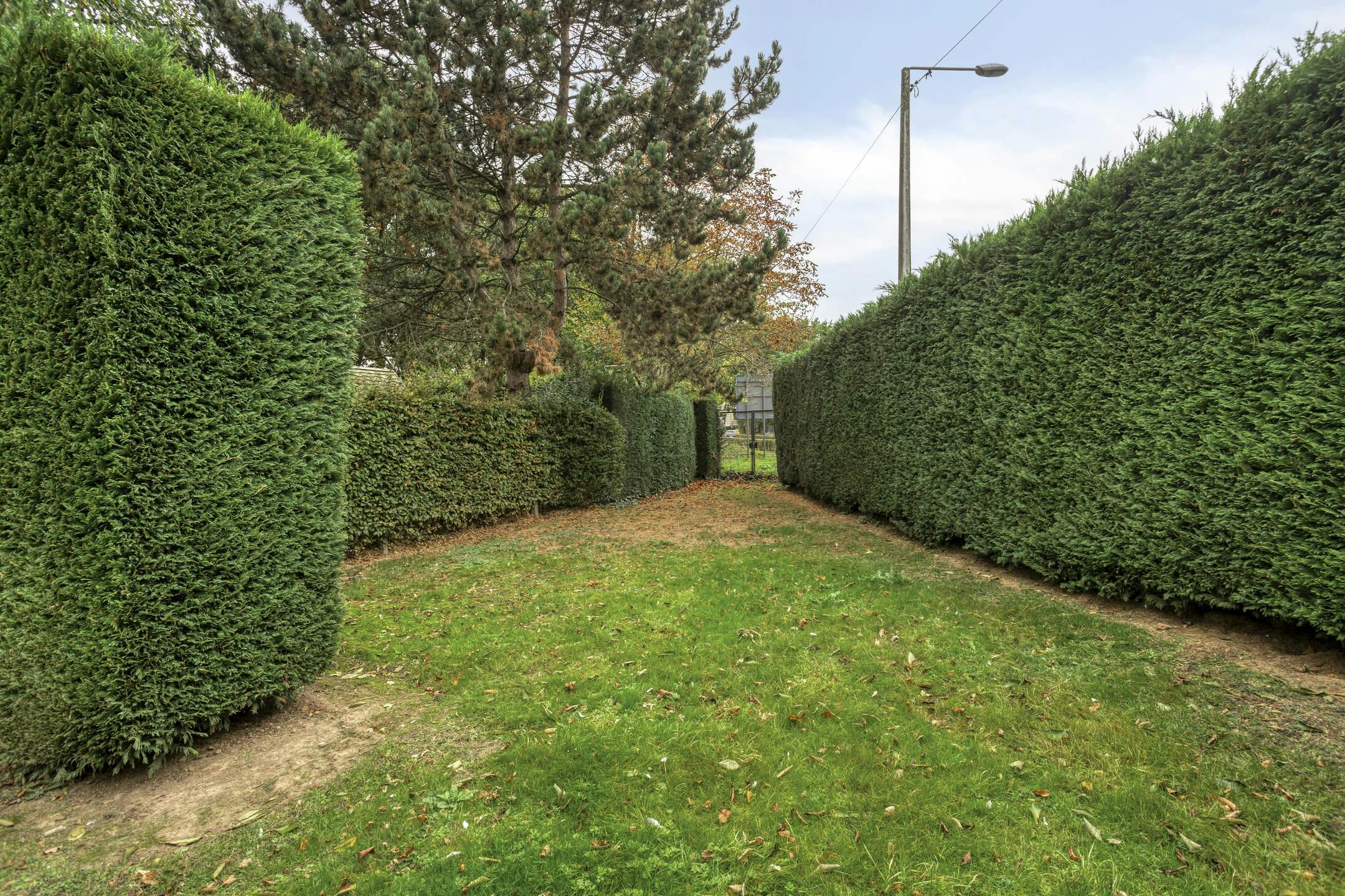 Gelijkvloerse villa op een centrale locatie in Brussegem foto 22