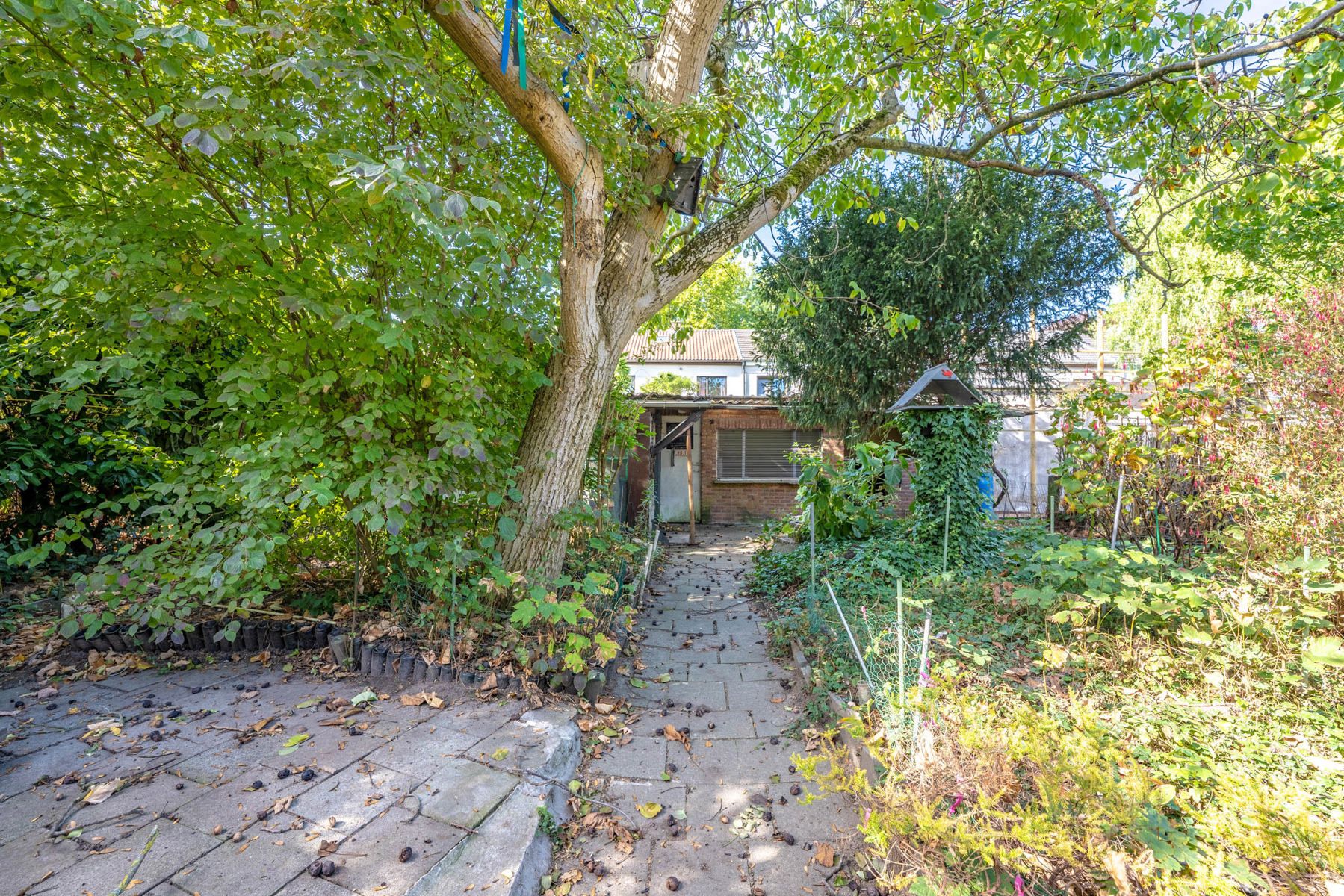 Woning met 3 slpk, 2badk en ruime tuin foto 8