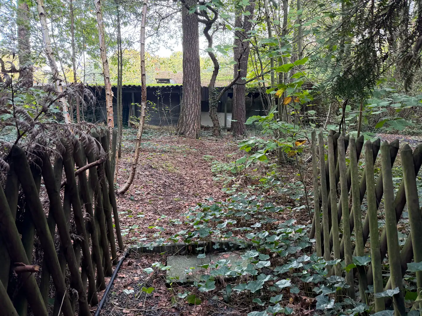 Rustig wonen midden in de bossen op een perceel van 2.005 m² in Schilde foto 21