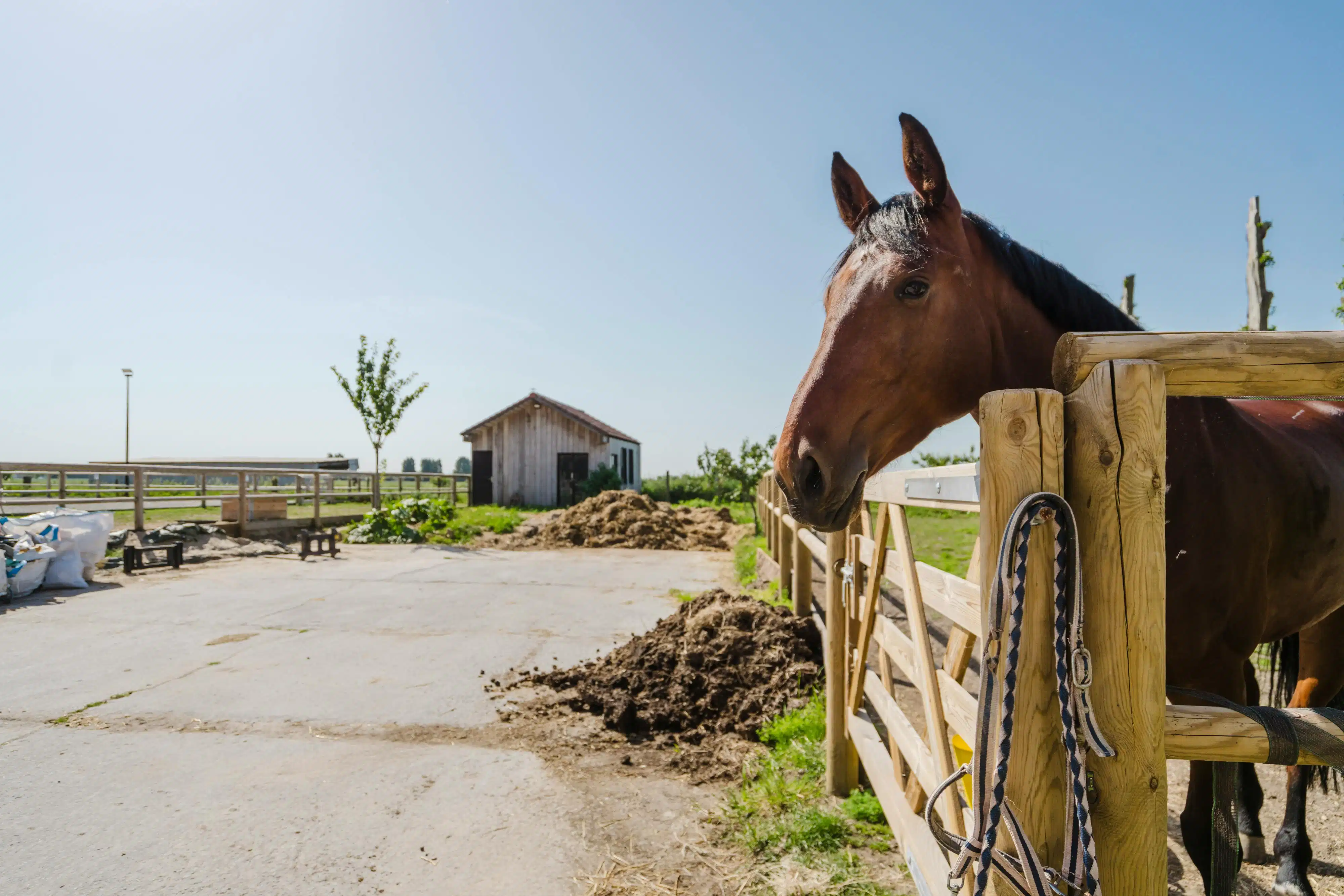 Karaktervolle hoeve met open zicht op de Kemmelberg en tal van mogelijkheden op 7.425 m² foto 11