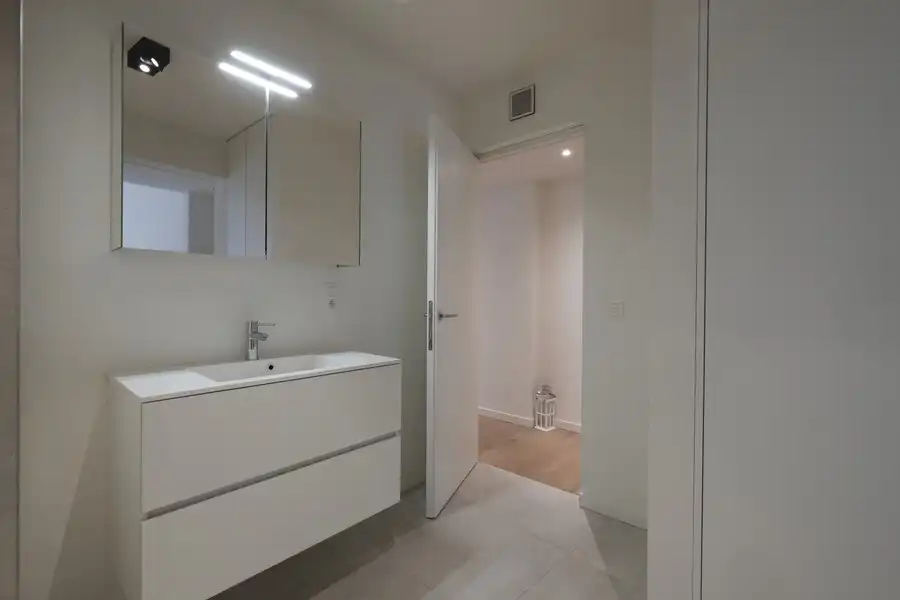 Prachtig gemeubeld luxeappartement met twee slaapkamers gelegen in dé winkelstraat van Hasselt foto 26