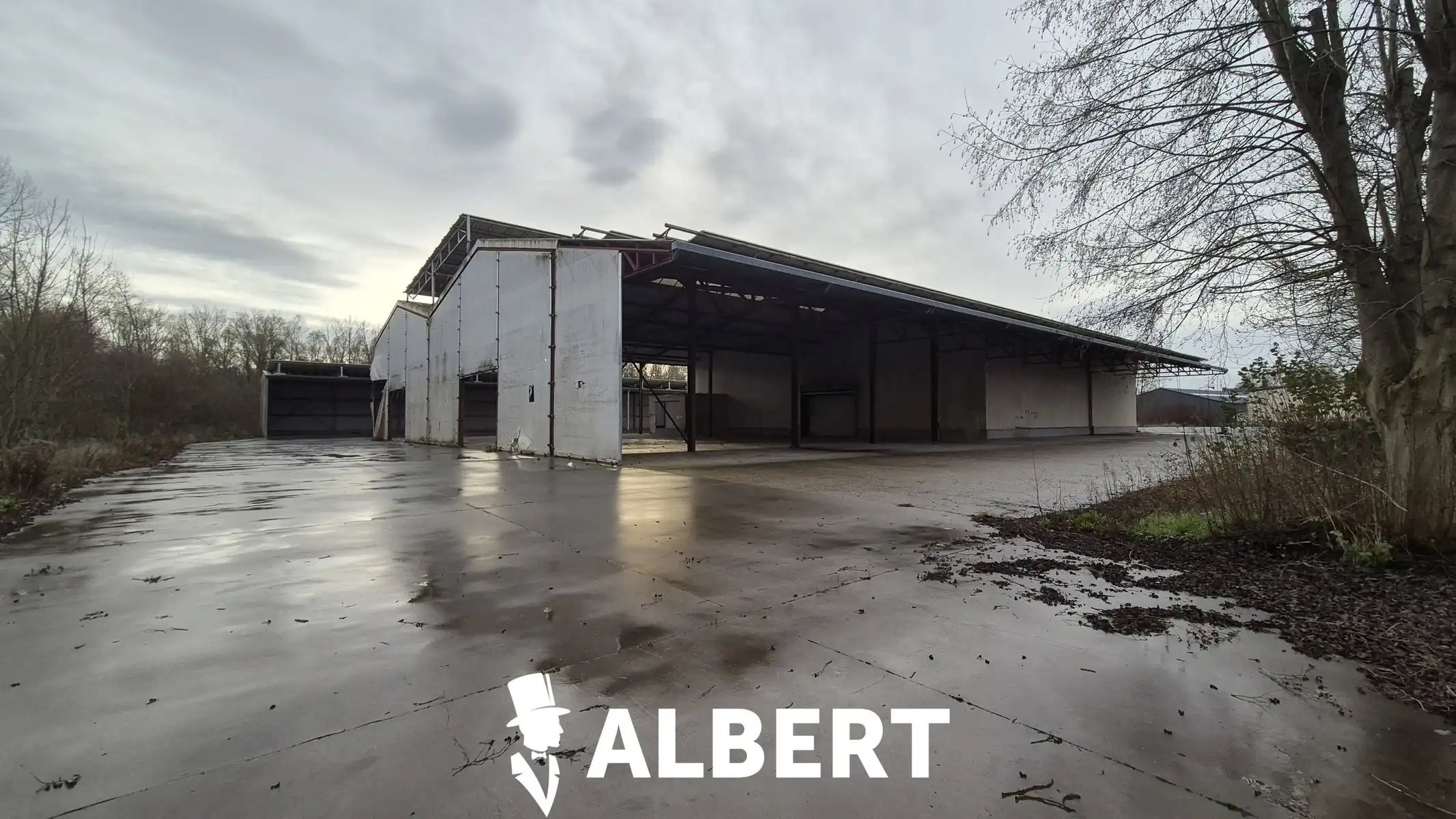 Unit 1 : gesloten en open loods foto 9