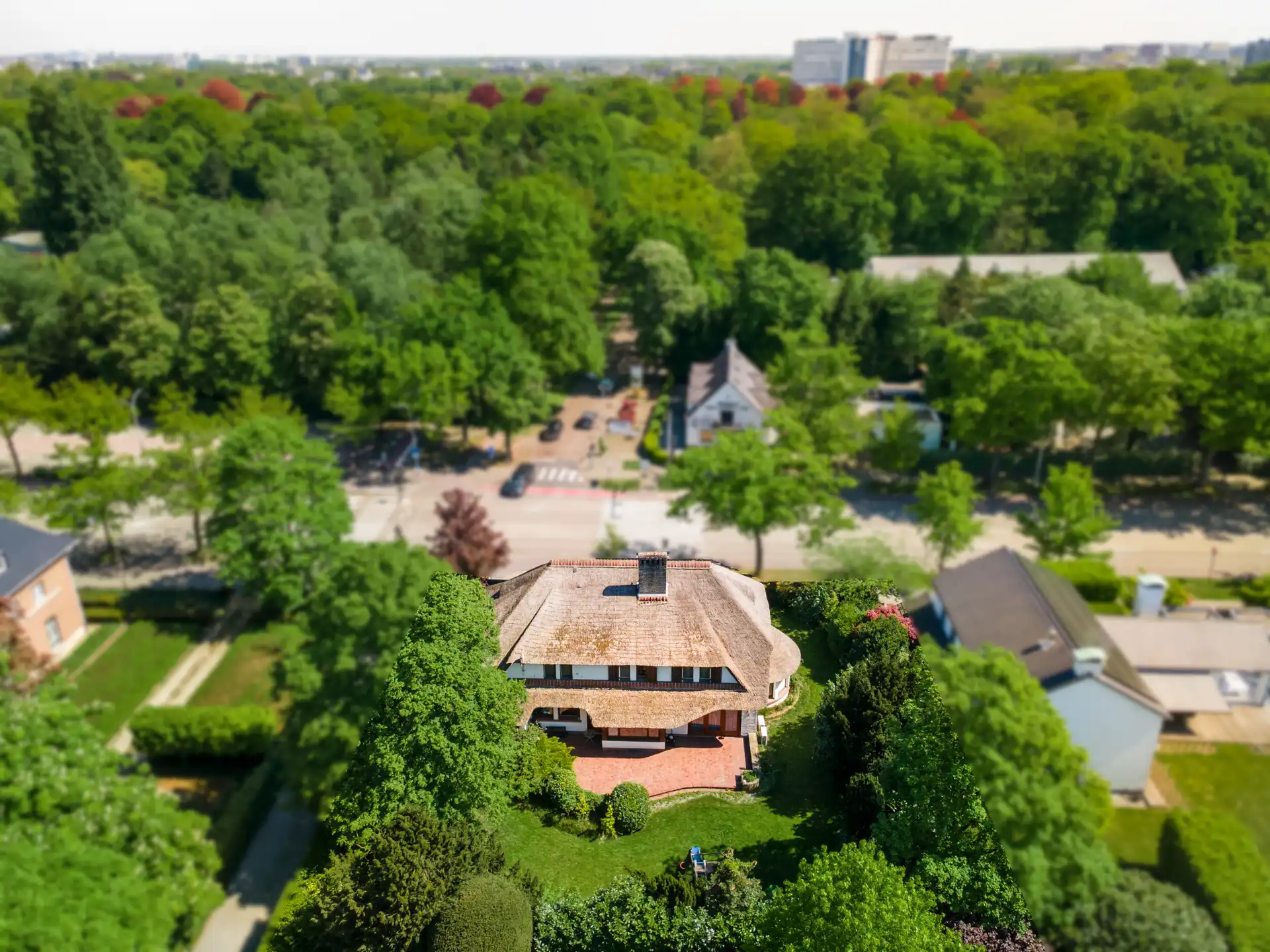 Karaktervolle rietgedekte villa op 1.120m² met 5 slaapkamers foto 4