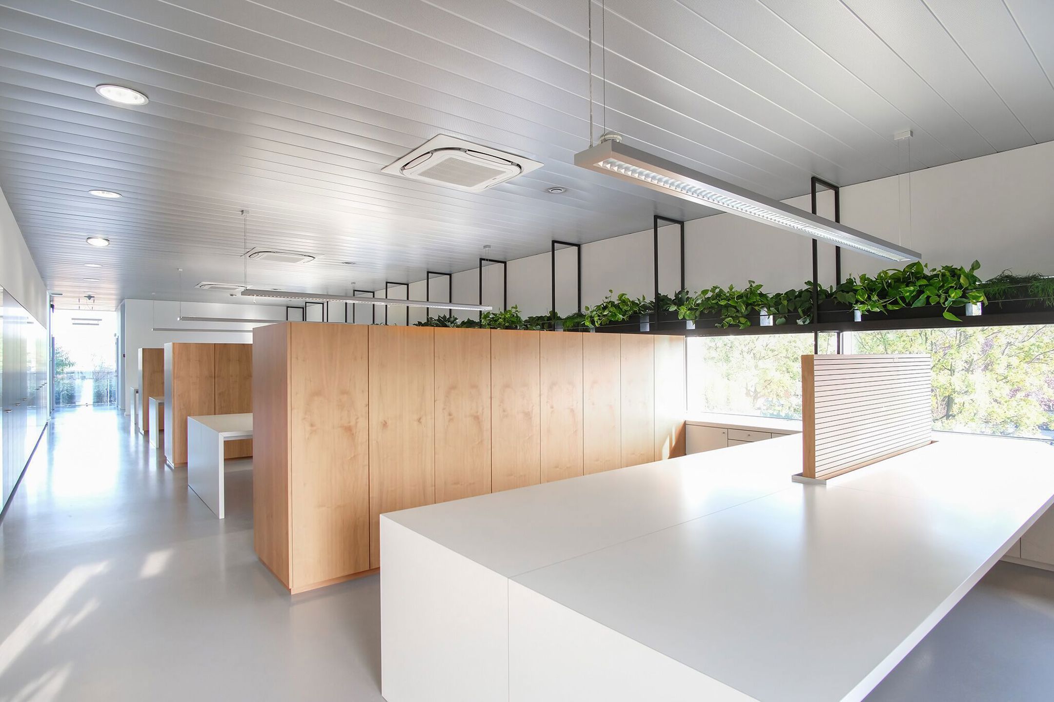 KANTOORRUIMTE TE HUUR foto 7