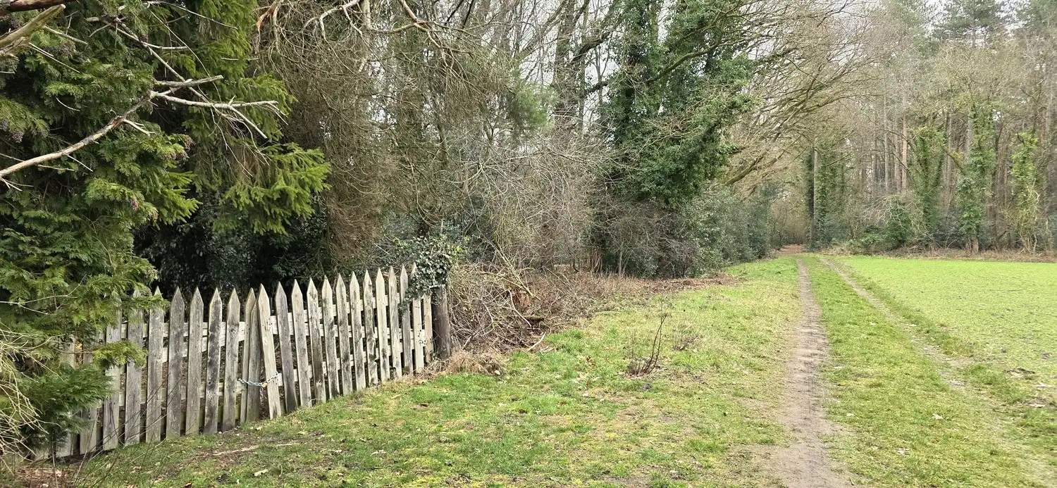 Uniek gelegen vrijstaande gezinswoning met 3 slaapkamers midden in de natuur op een perceel van 54 are in As centrum! foto 58