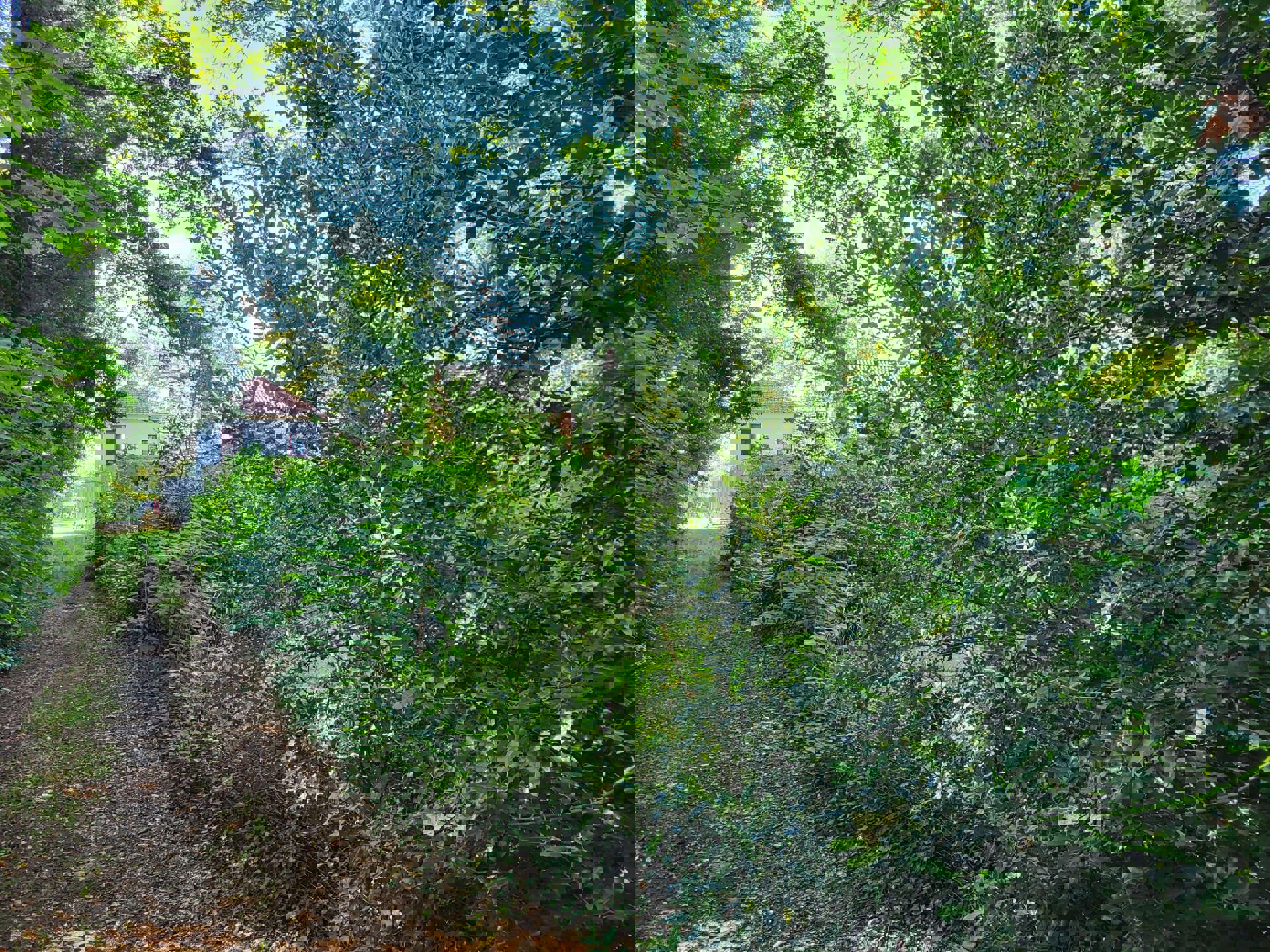 Te koop in Genk: (handels)huis - Hasseltweg 344 foto 3