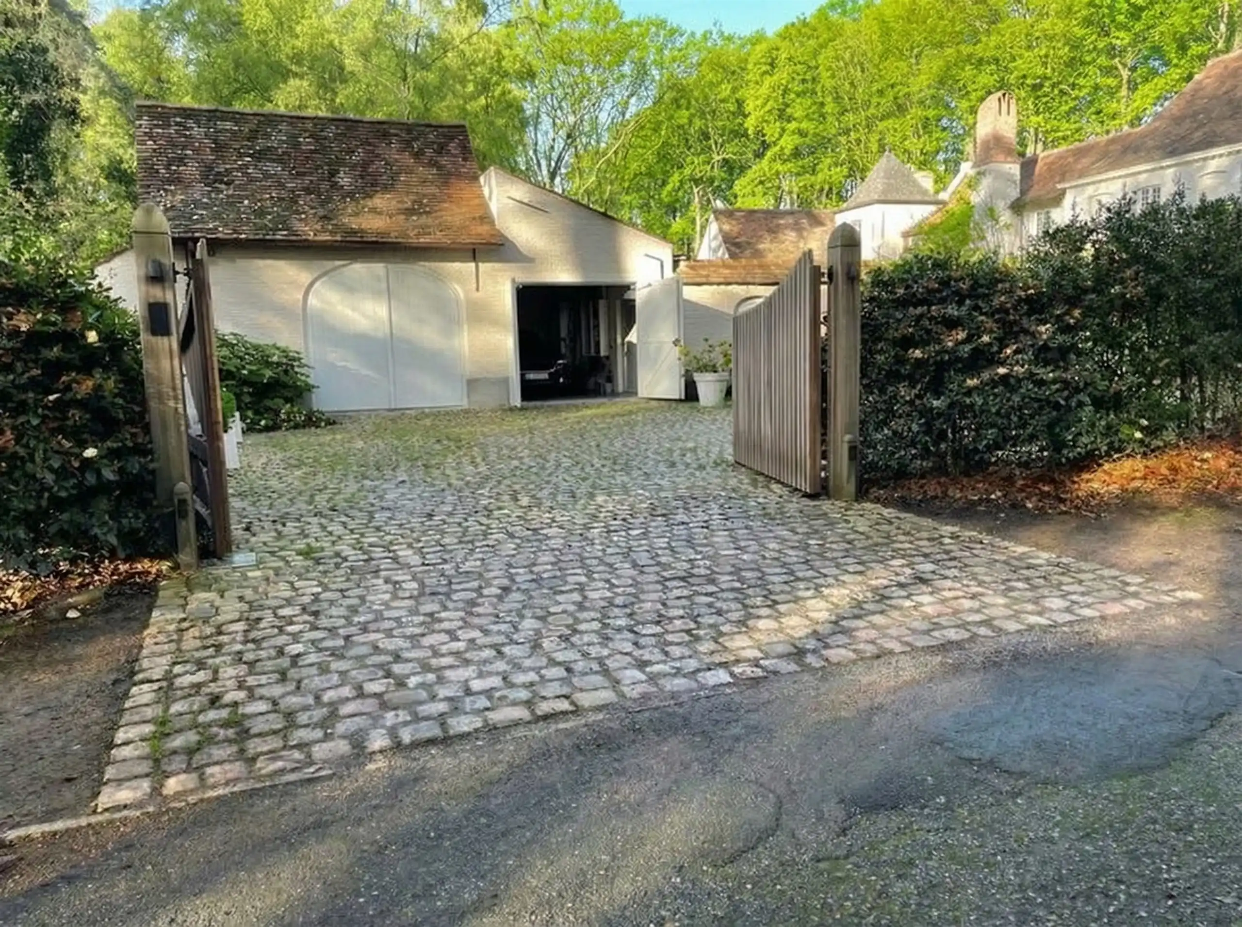 Majestueus Meesterwerk in de bossen van Hertsberge foto 7