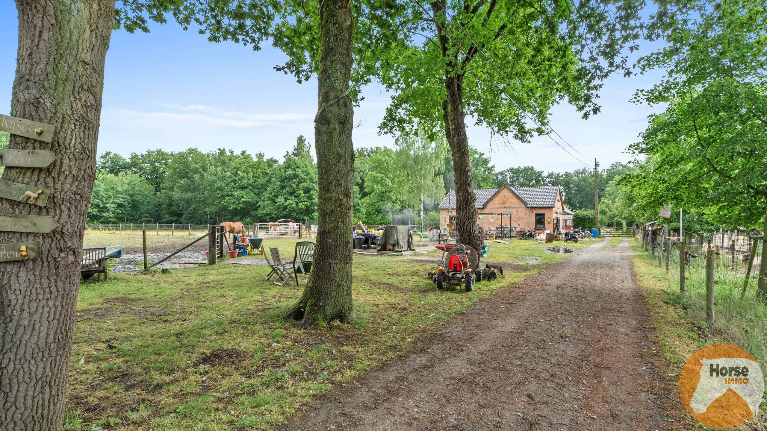 ITEGEM - Rustig gelegen woning en bijgebouw op 2,4Ha foto 5