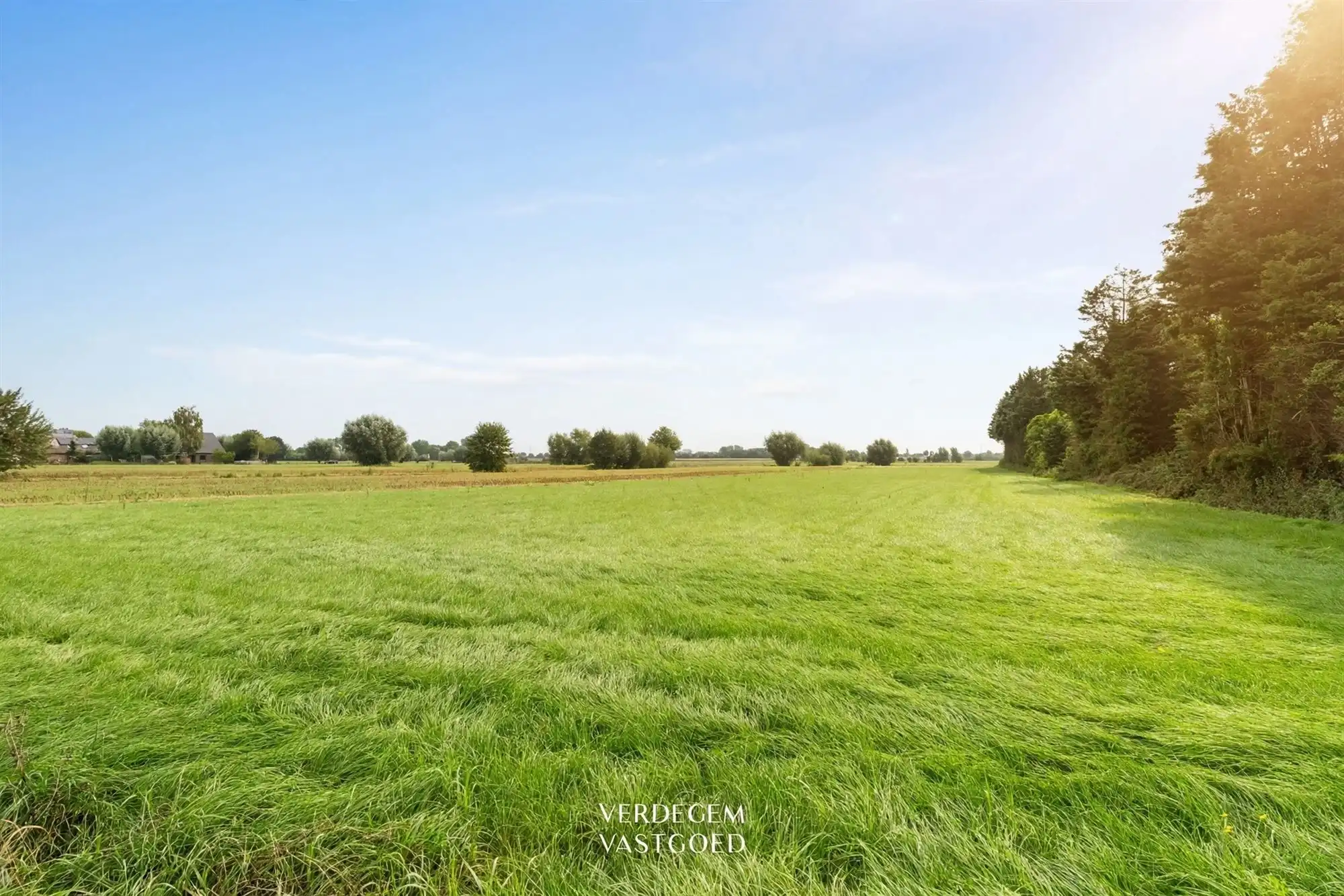 Unieke eigendom: landelijke woning op 8.913m² ruimte met zicht op de Sleinse Meersen foto 3