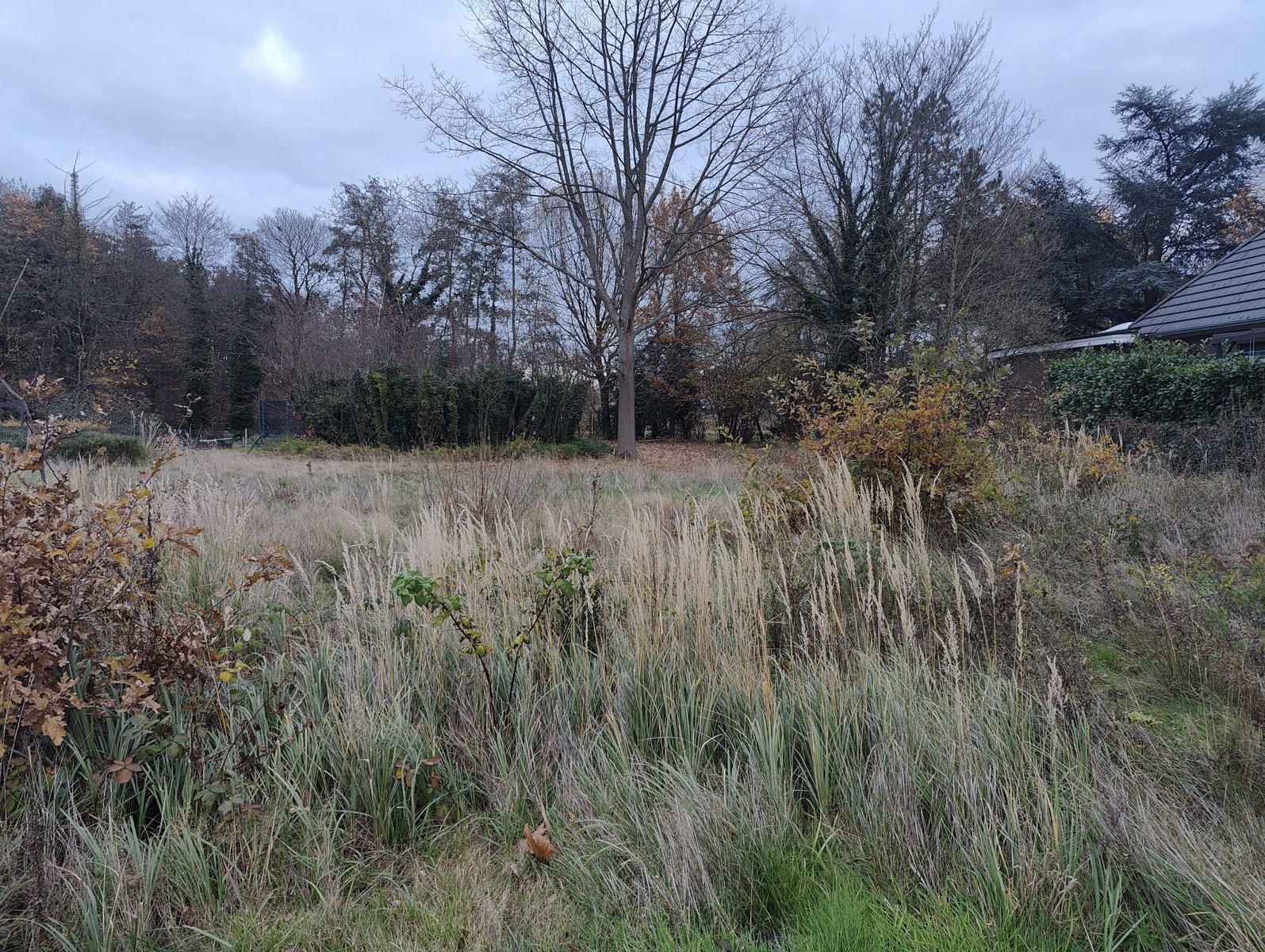 Uitstekend gelegen bouwgrond voor HOB in rustige straat foto 6