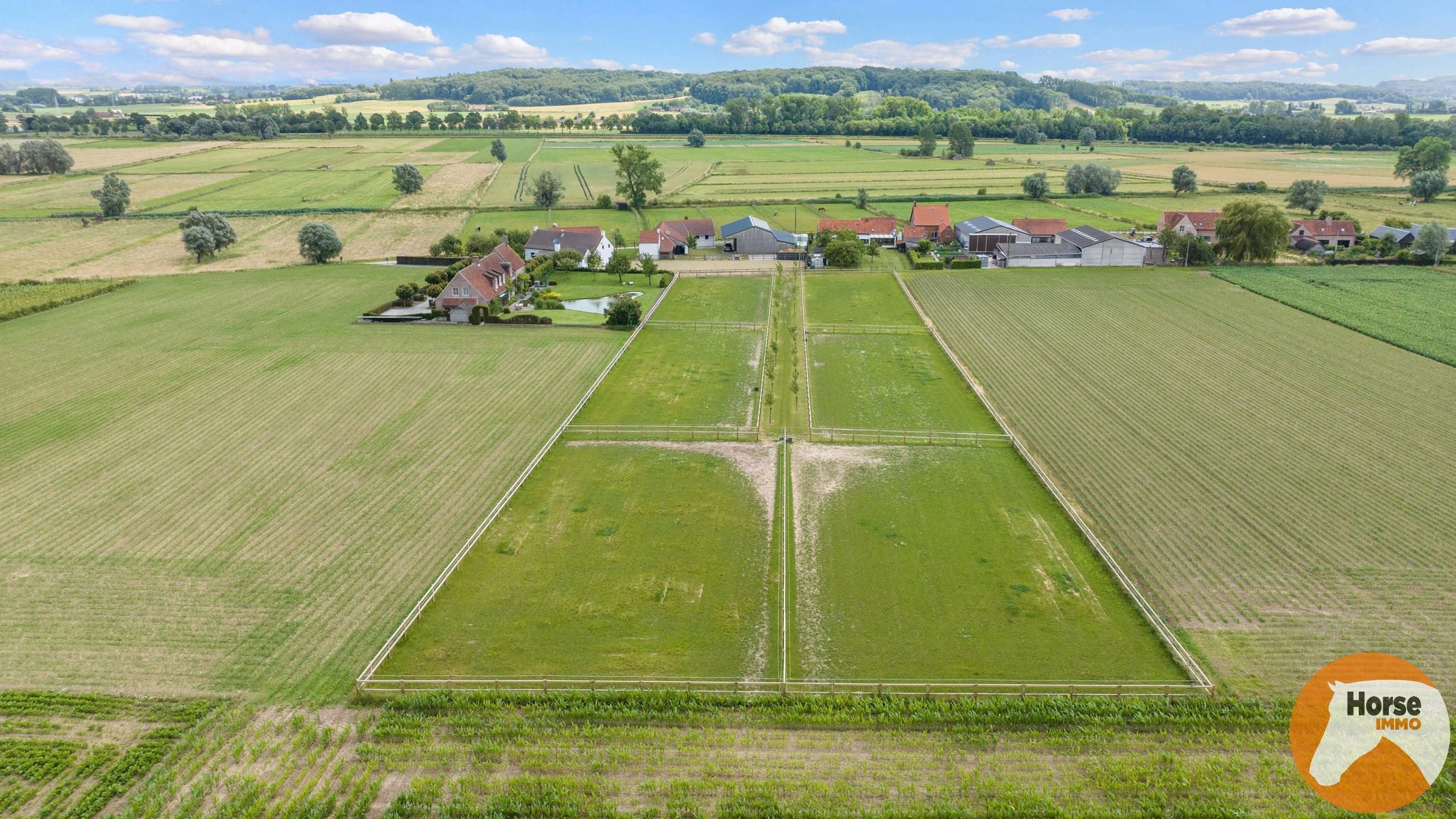 WORTEGEM-PETEGEM - Woning met bijgebouw, paardenaccomodatie foto 57