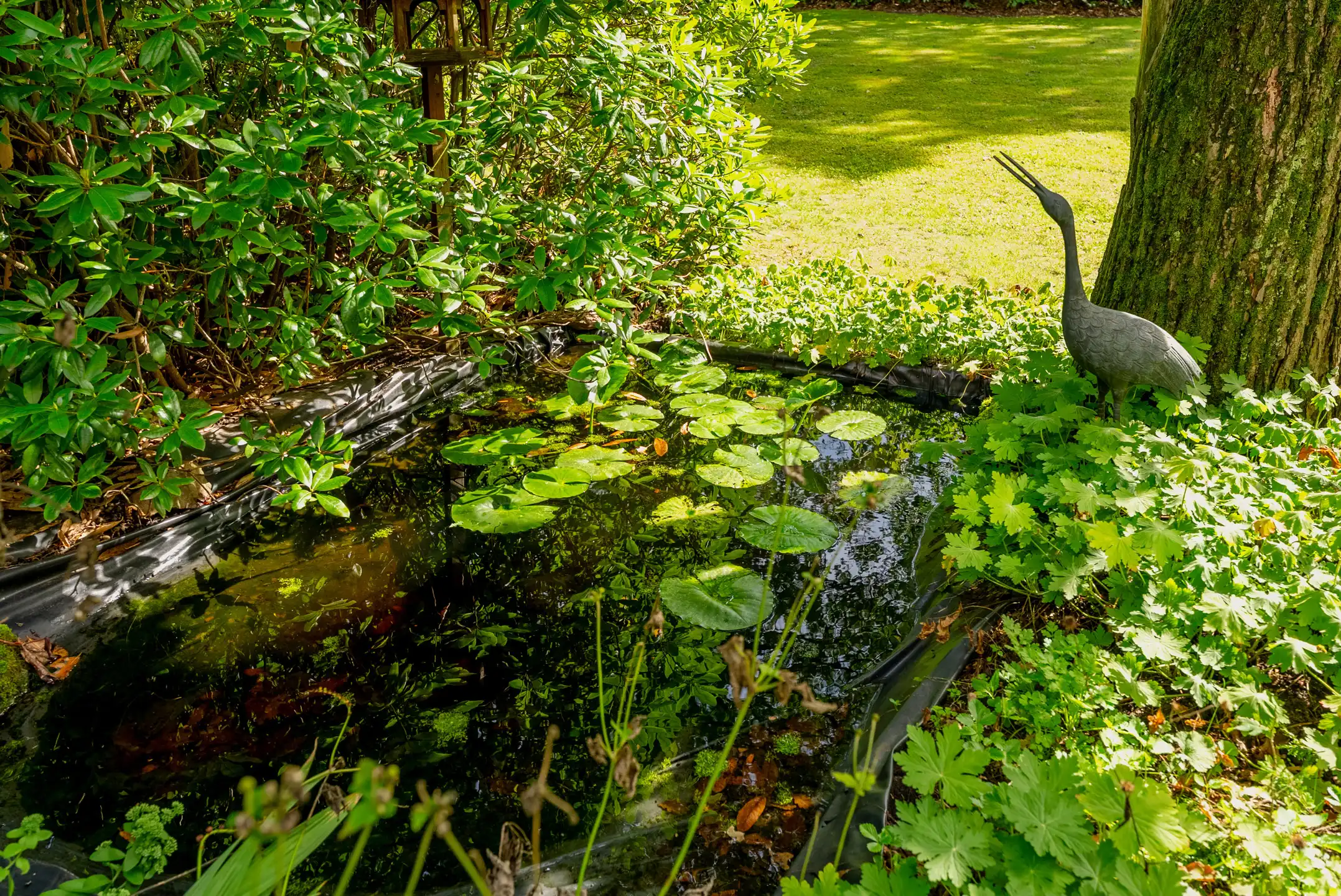 Prestigieuze villa met afzonderlijke woonunit en royale tuin nabij de Kalmthoutse Heide foto 50