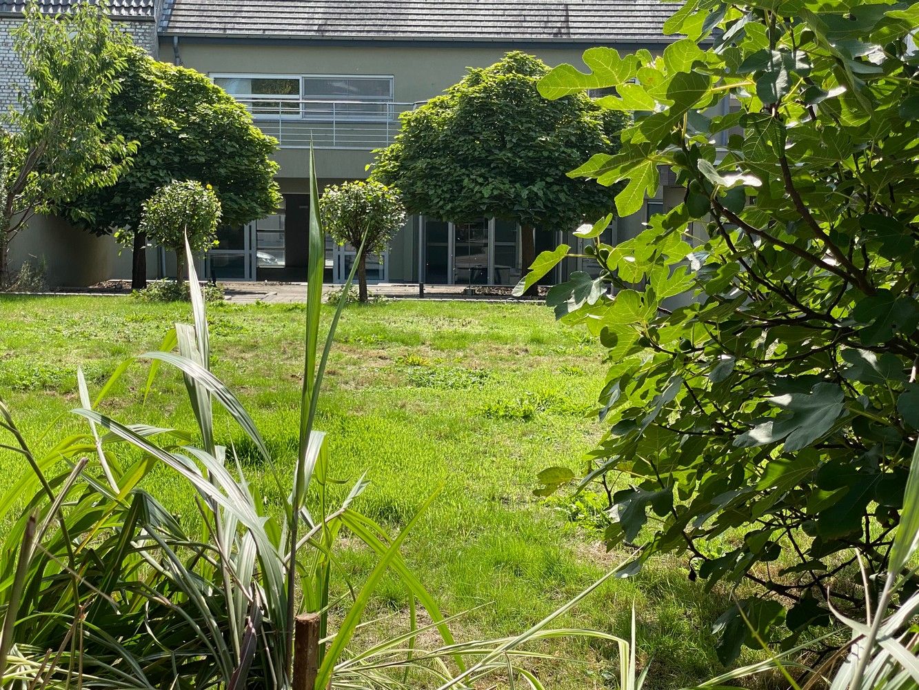 Mutifunctioneel pand met ruime woonst en tuin foto 9
