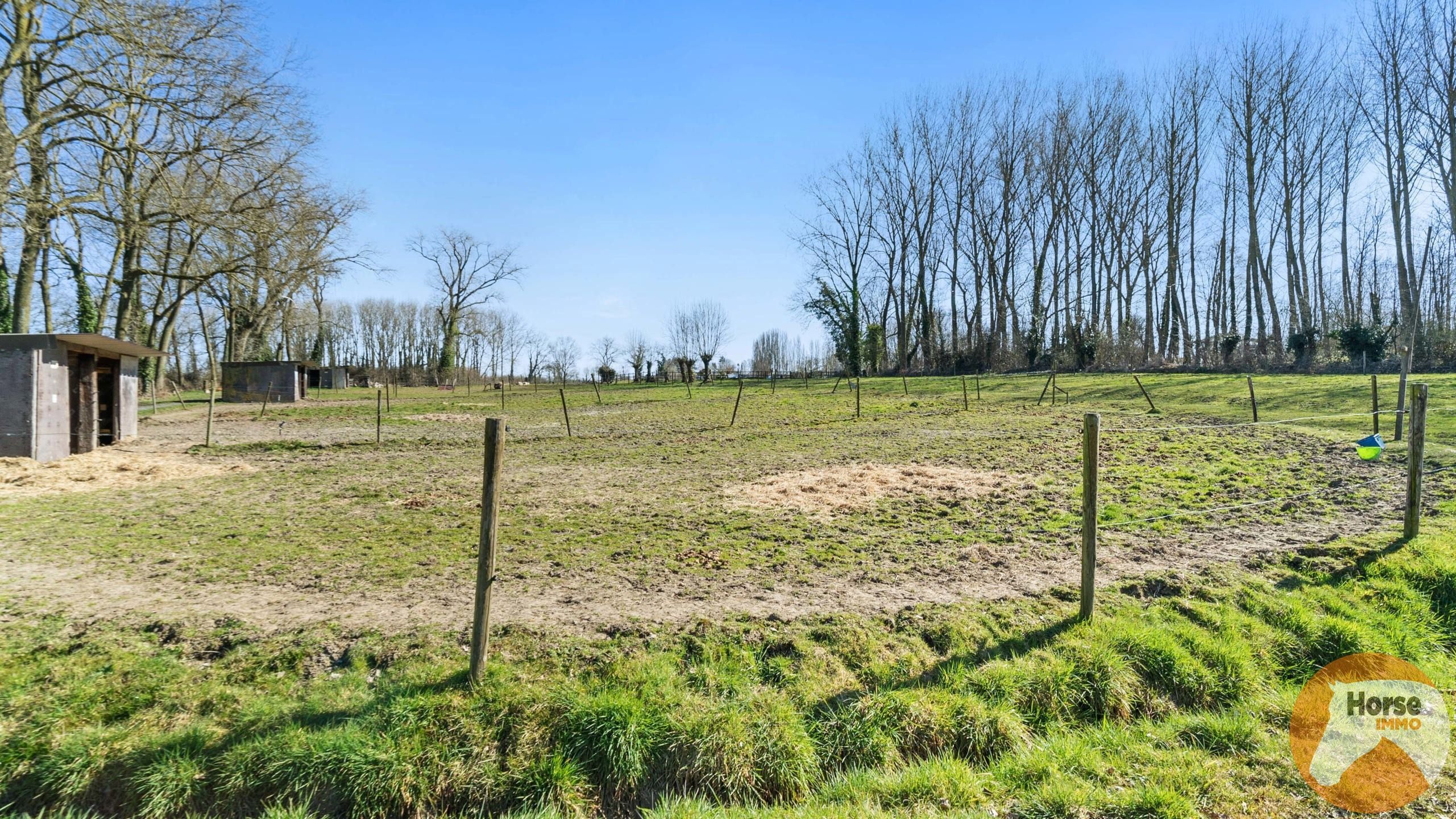 ZWALM - Hoeve met stallen en weides op +/-1,5HA foto 21