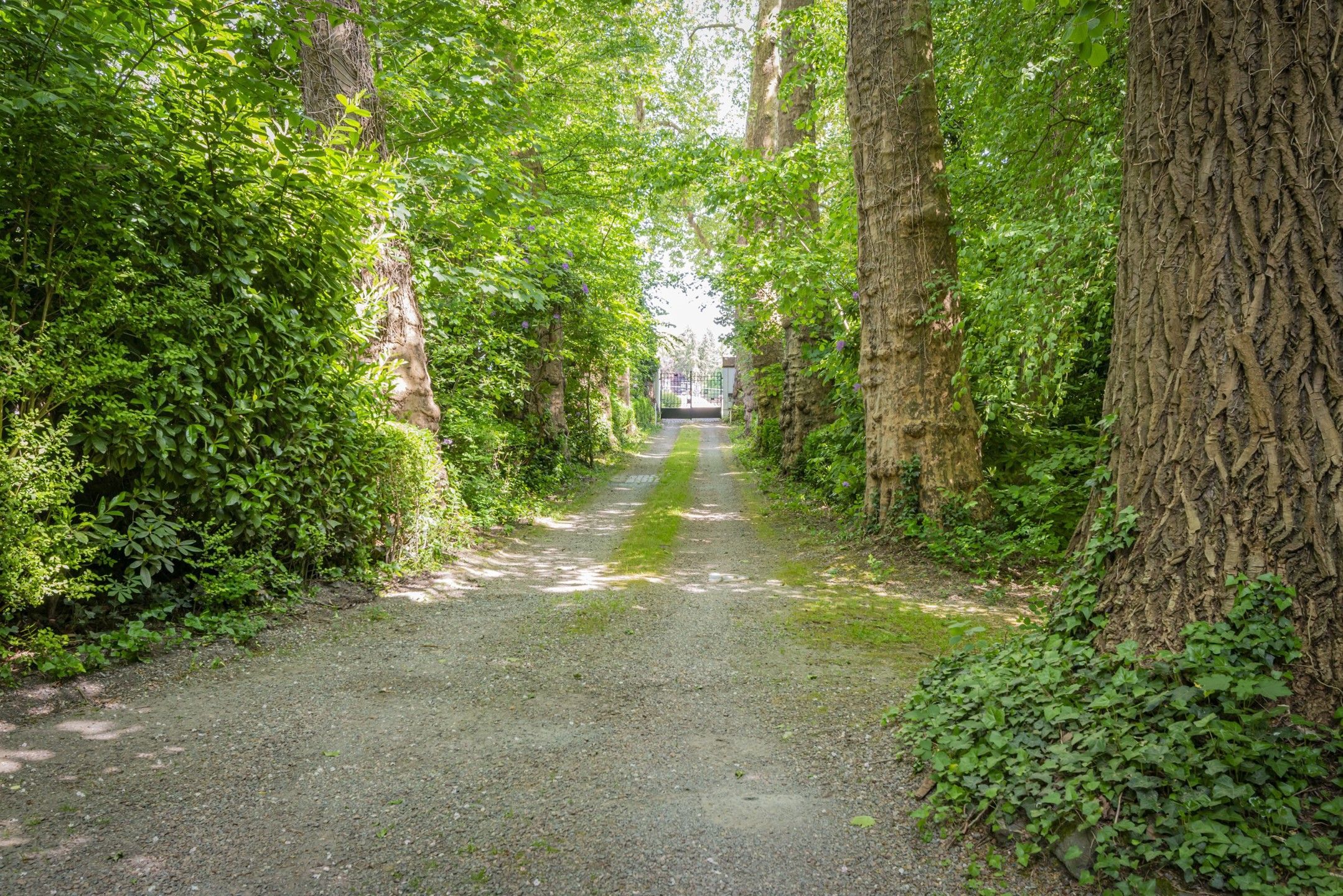 Exclusieve villa met zwembad en privédomein te Dilbeek foto 29