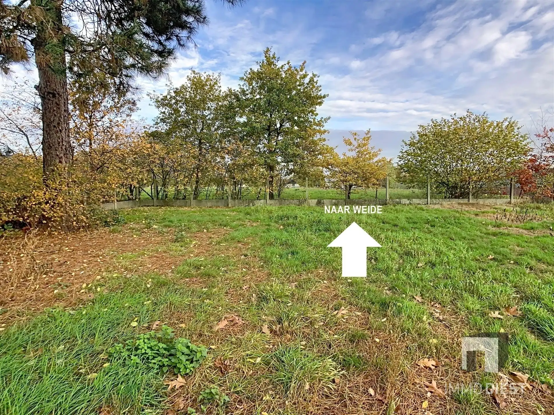 Villa op open bebouwing op 10a17ca  met achterliggende weide van 52,11 are foto 9