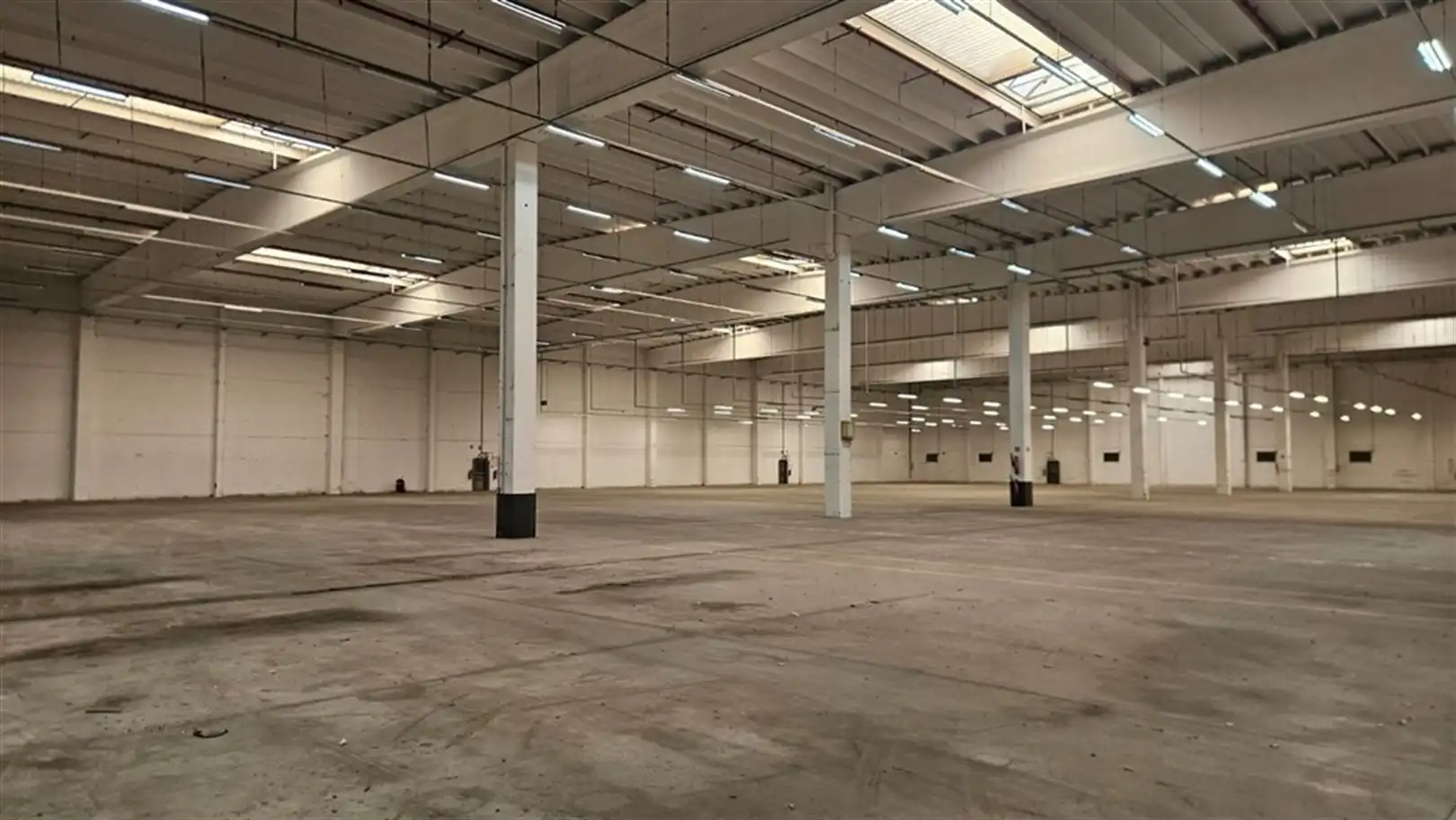 Logistiek op zichtlocatie langs E17 foto 10