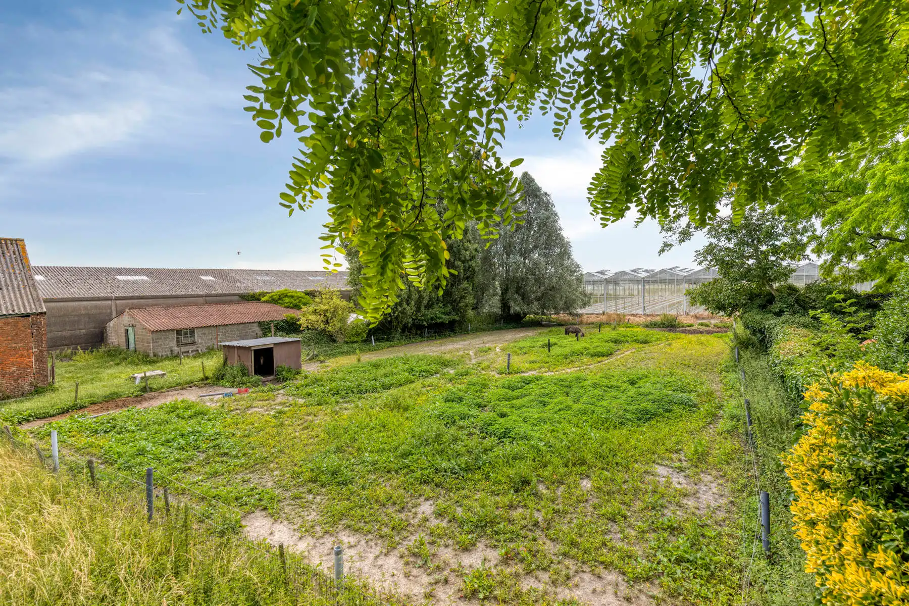 Te renoveren woning op een bebouwbaar perceel van 1.982m²!!!!! foto 2