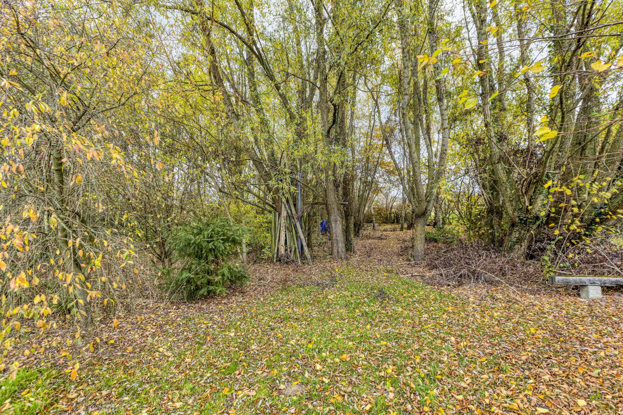 Karaktervolle woning met uitgestrekt perceel van 1HA31A te Halen foto 18