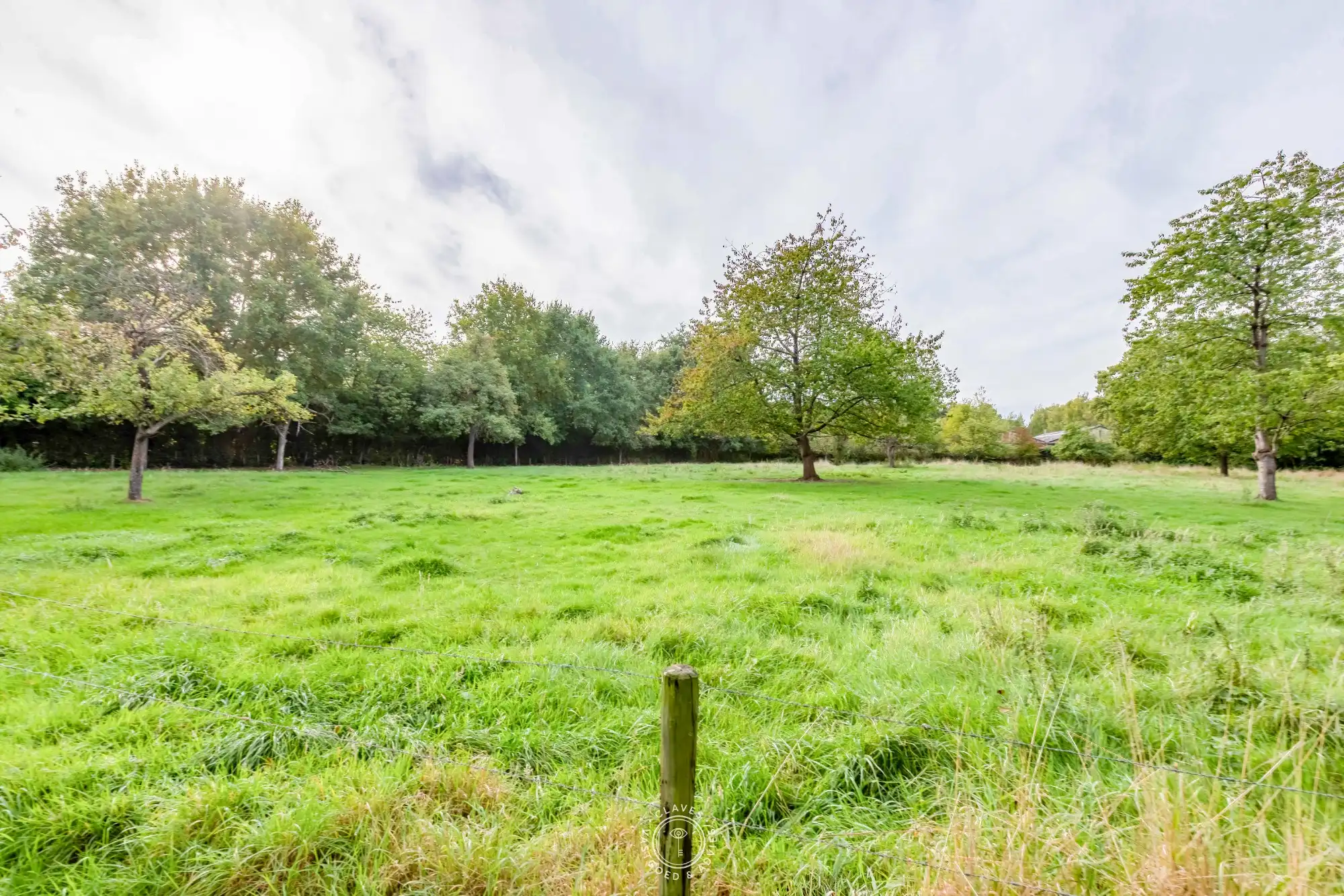 Uniek landhuis met charme en meer dan 10.000 m² eigen grond foto 25