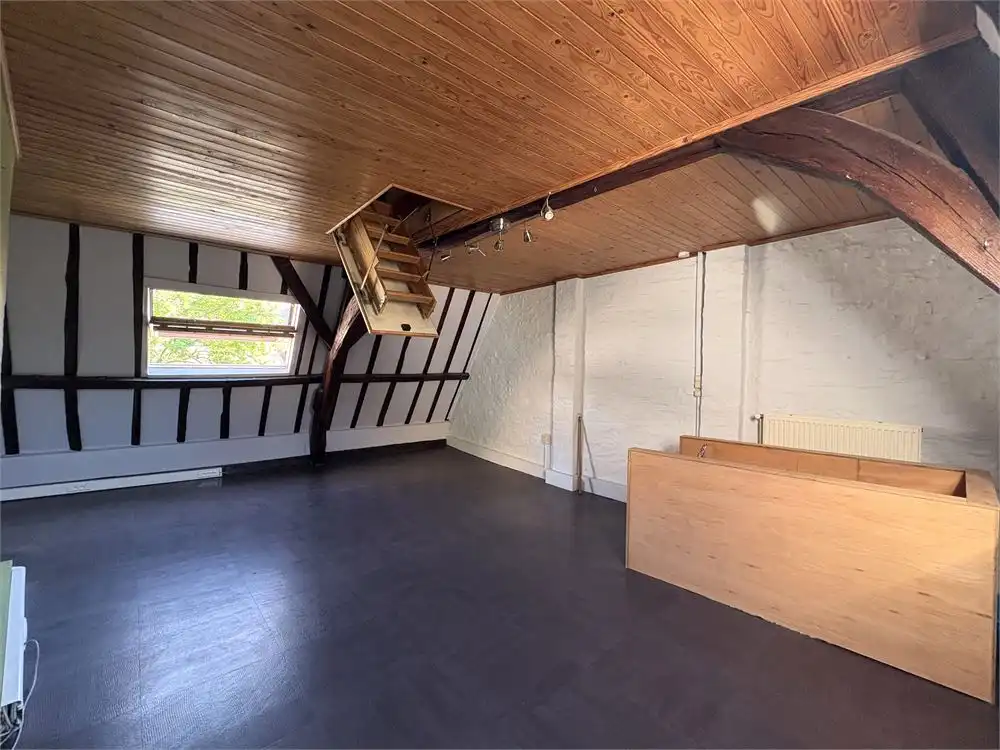 LICHTRIJKE WONING IN HET CENTRUM VAN BRUGGE foto 8