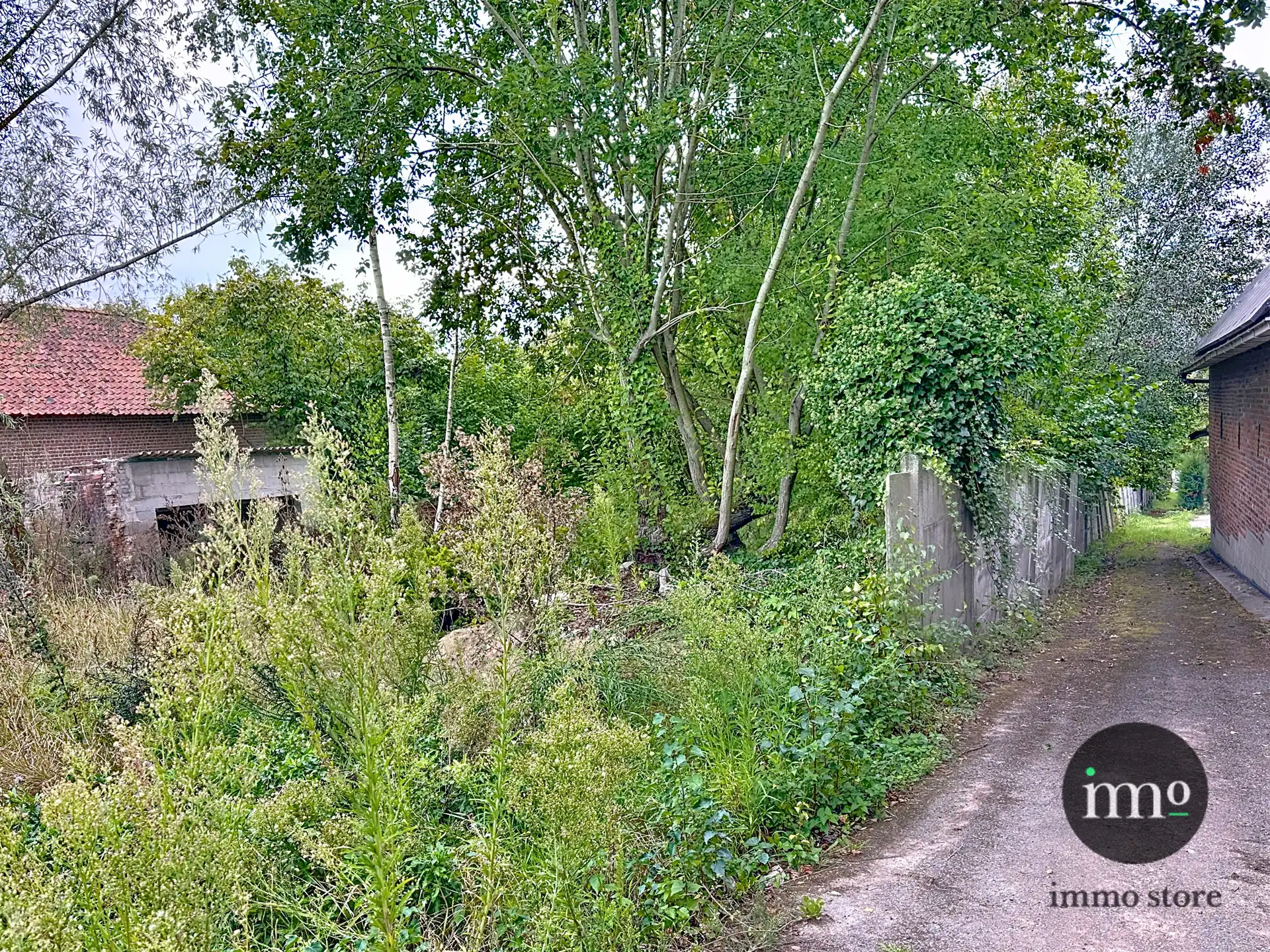 Grond te koop foto 5