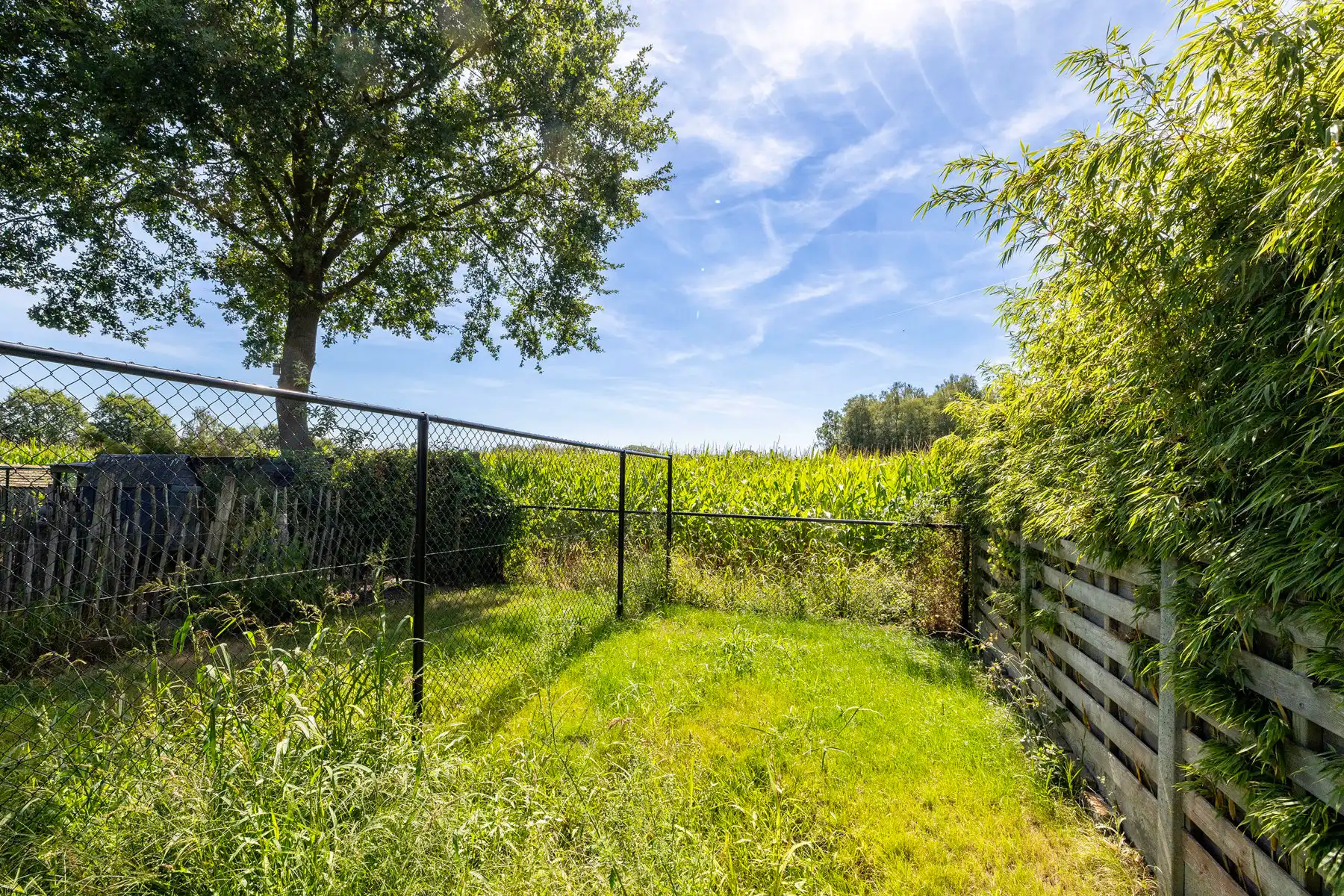 Gerenoveerde woning met 3 slpks, tuin en garage foto 22
