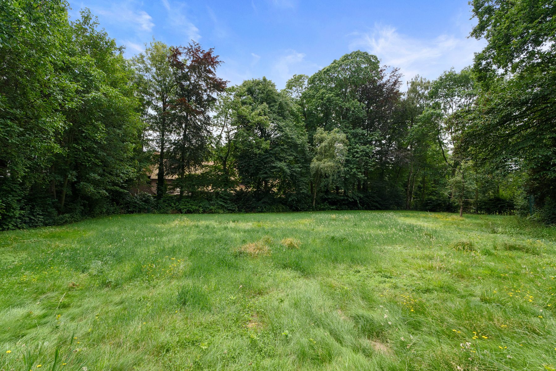 Uitzonderlijk landhuis op een exclusief perceel van 4.490 m² foto 12
