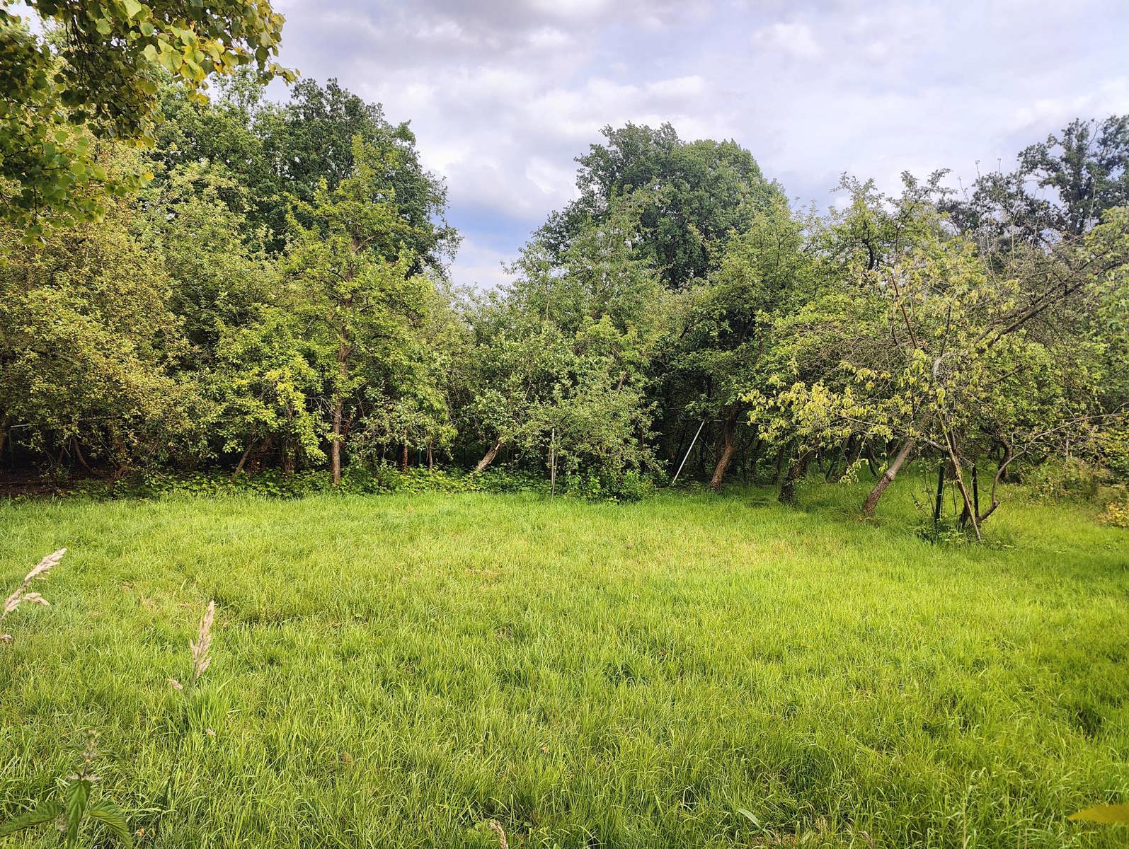 Bouwgrond gelegen in groene oase van rust foto 7