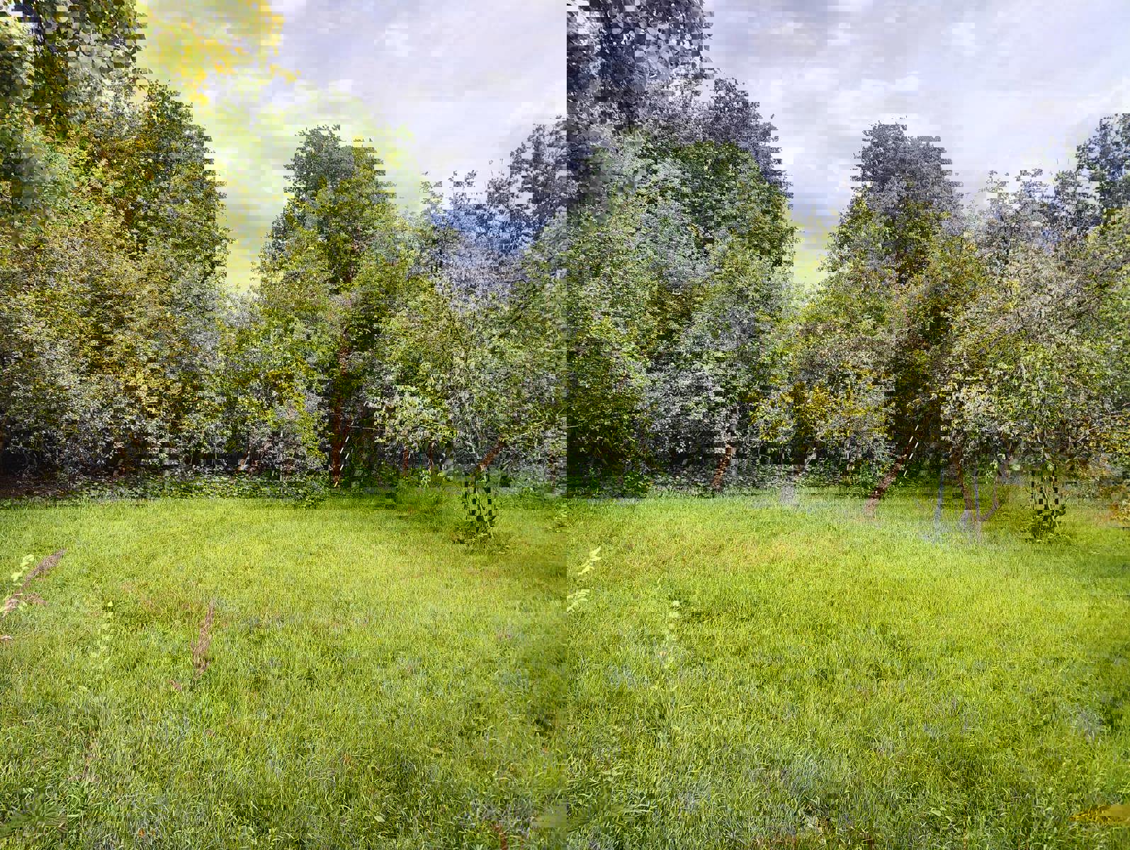 Bouwgrond gelegen in groene oase van rust foto 7