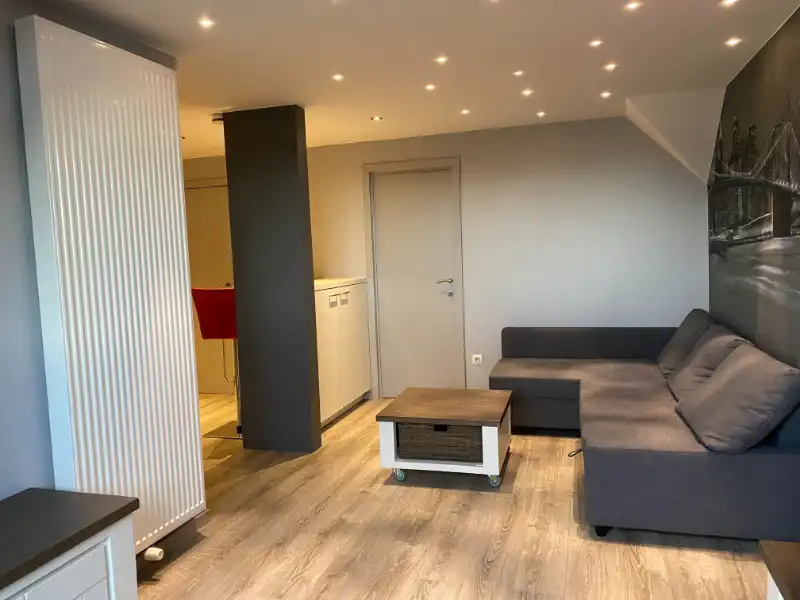 Ruime bemeubelde studio met autostaanplaats, GEEN DOMICILIE MOGELIJK foto 6