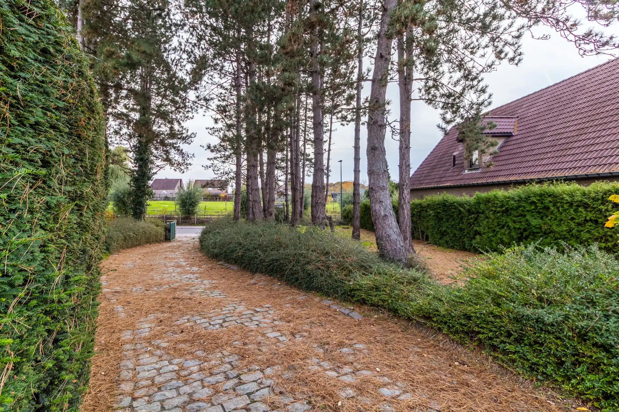 Villa te koop foto 5