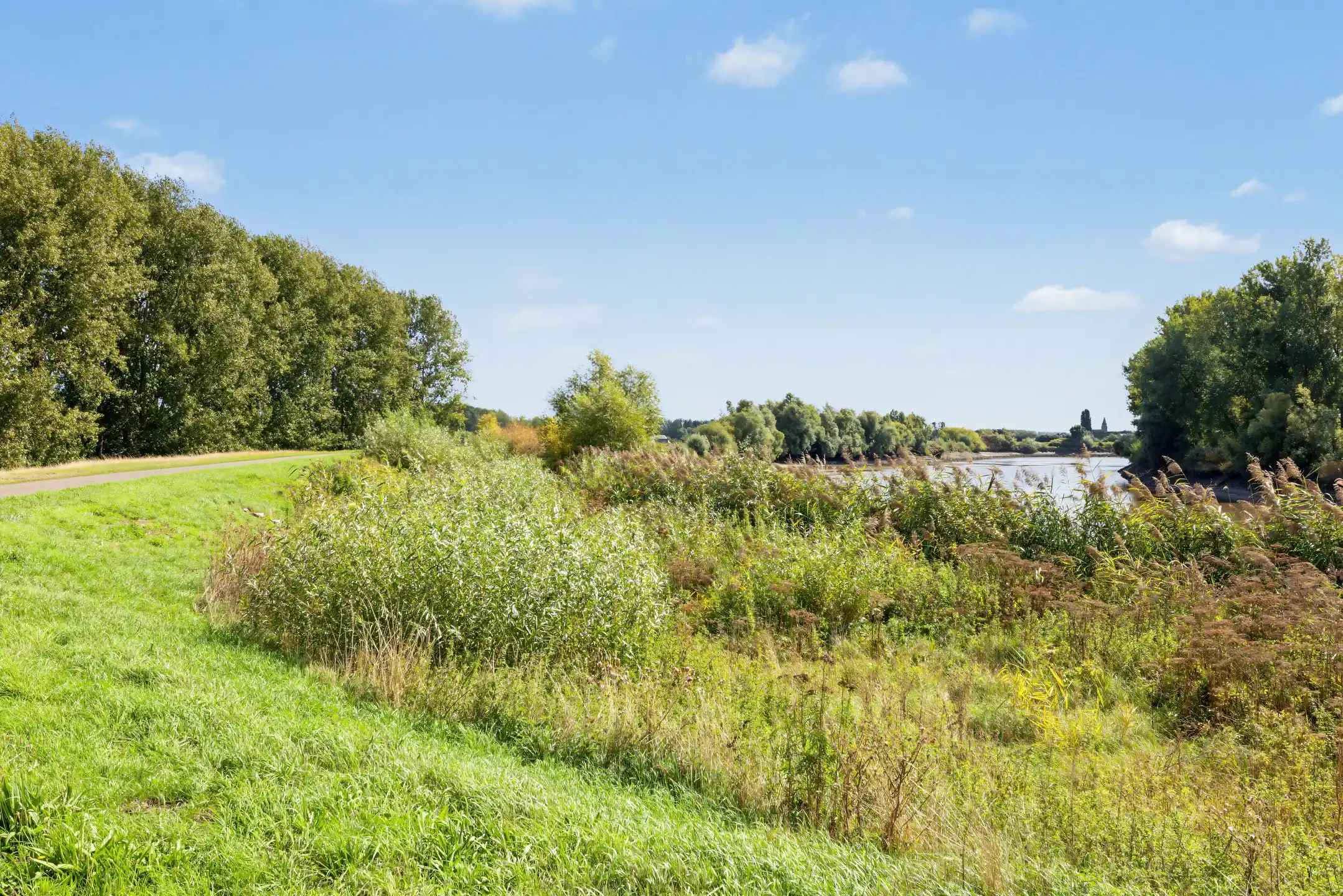 Authentiek gelijkvloers wonen met karakter aan de Schelde foto 25