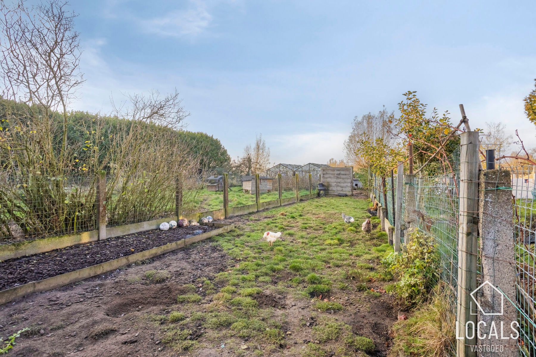 Licht op te frissen halfopen woning met veel potentieel  foto 20