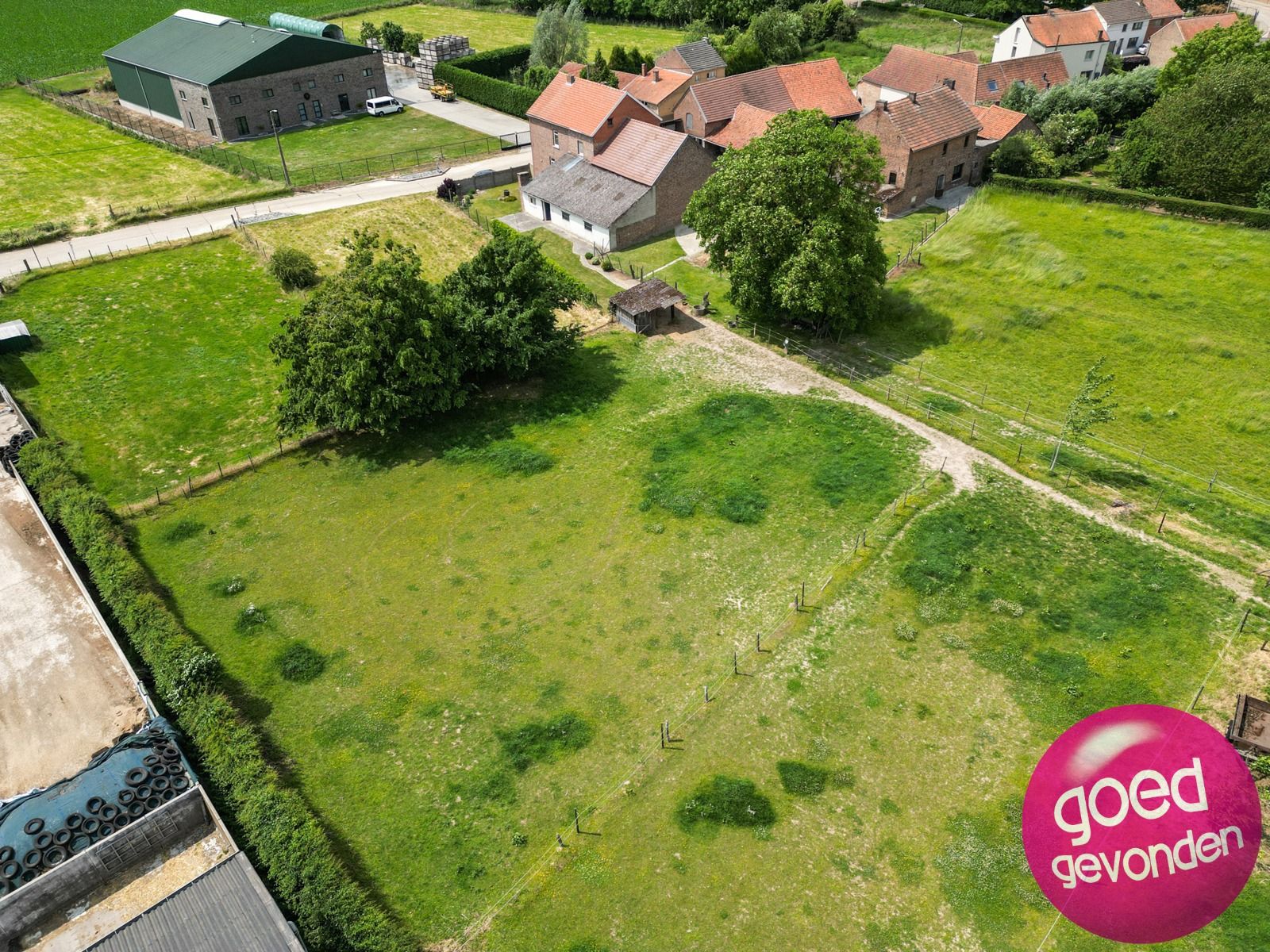 HOEVE met WONING 4 SLK - TUIN - TERRAS - WEI - SCHUREN  foto 3